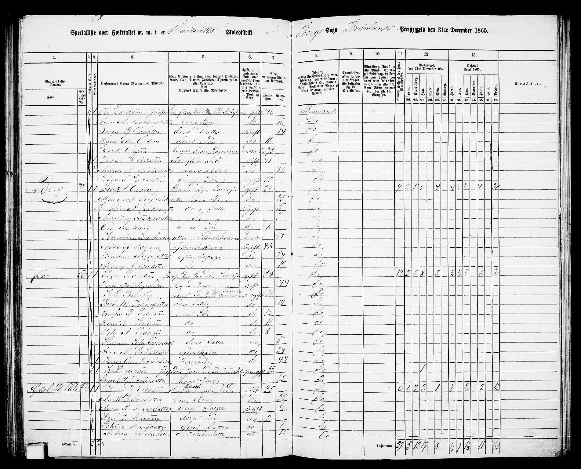 RA, 1865 census for Brunlanes, 1865, p. 132