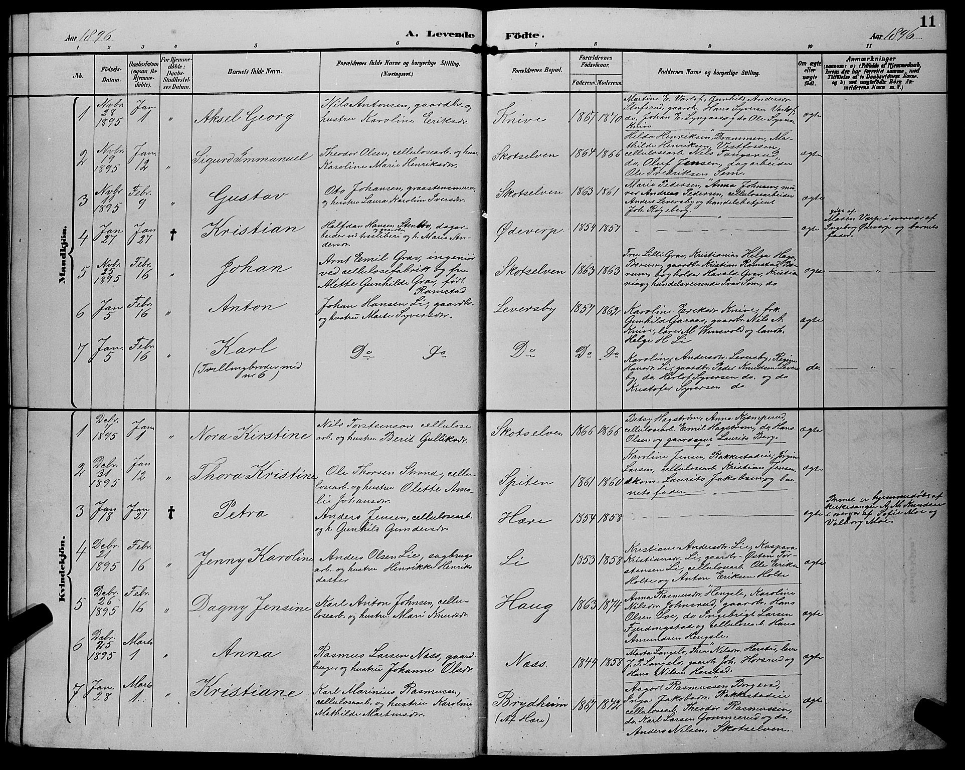 Eiker kirkebøker, AV/SAKO-A-4/G/Gb/L0004: Parish register (copy) no. II 4, 1894-1900, p. 11