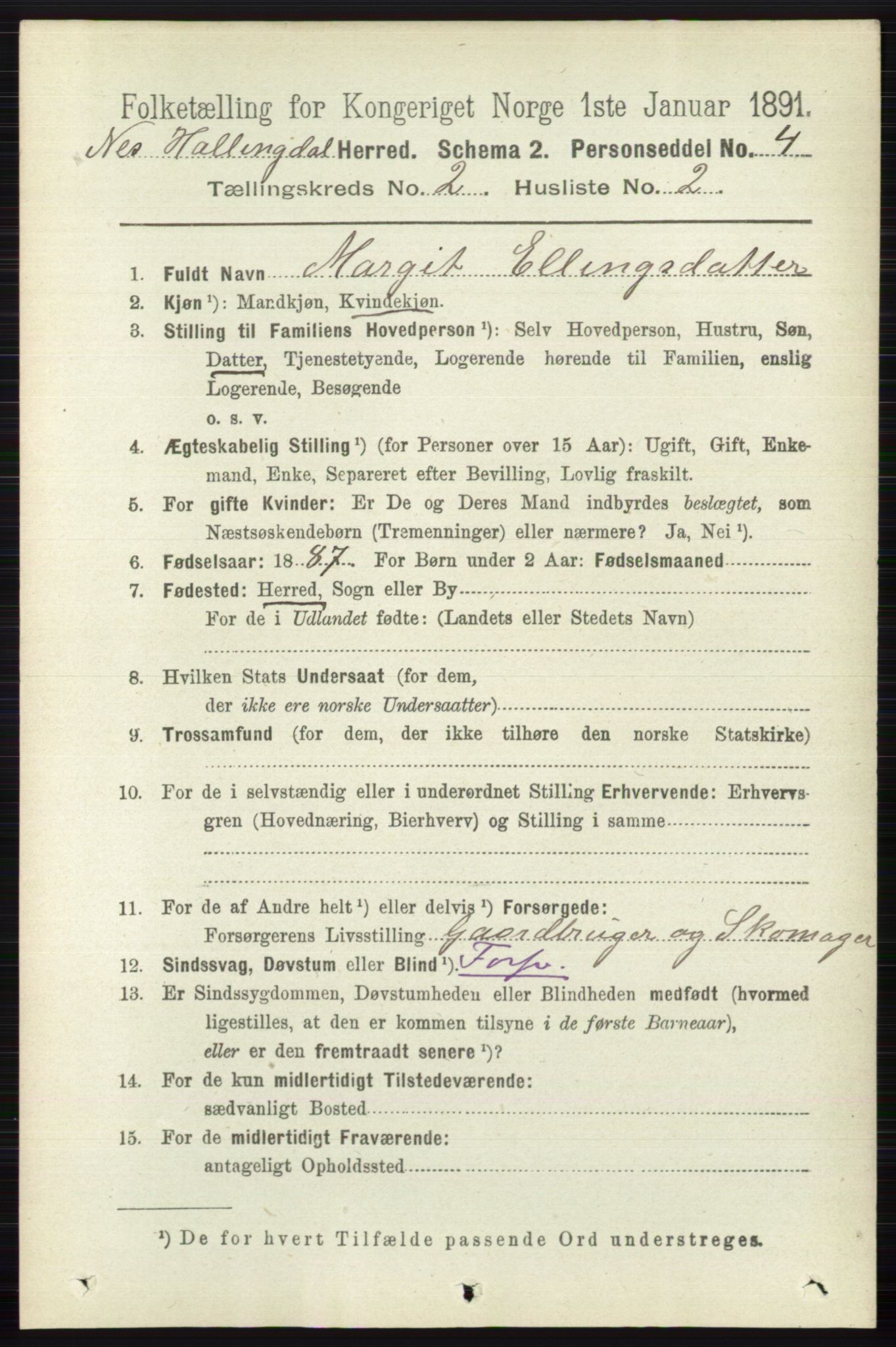 RA, 1891 census for 0616 Nes, 1891, p. 1000