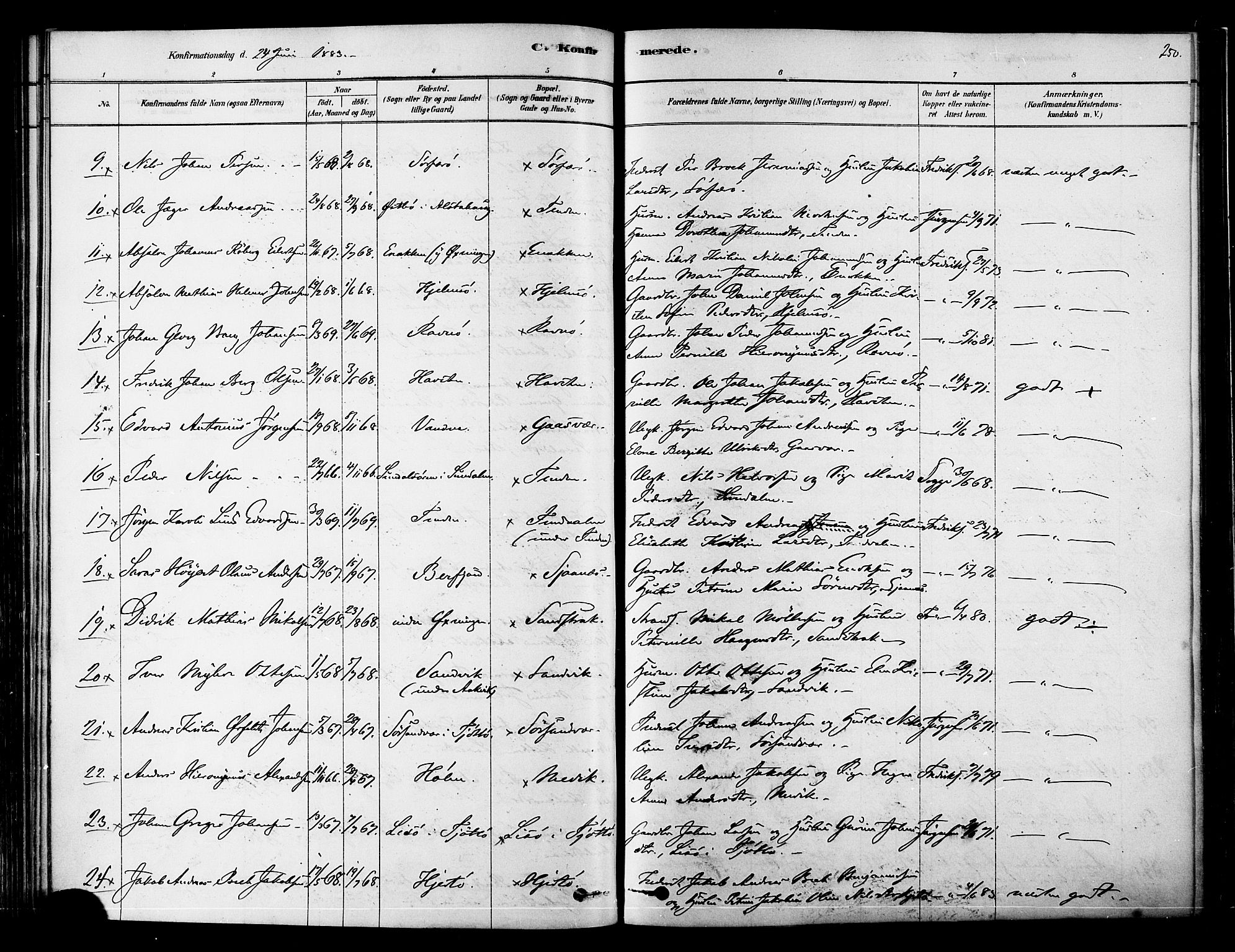 Ministerialprotokoller, klokkerbøker og fødselsregistre - Nordland, AV/SAT-A-1459/834/L0507: Parish register (official) no. 834A05, 1878-1892, p. 250