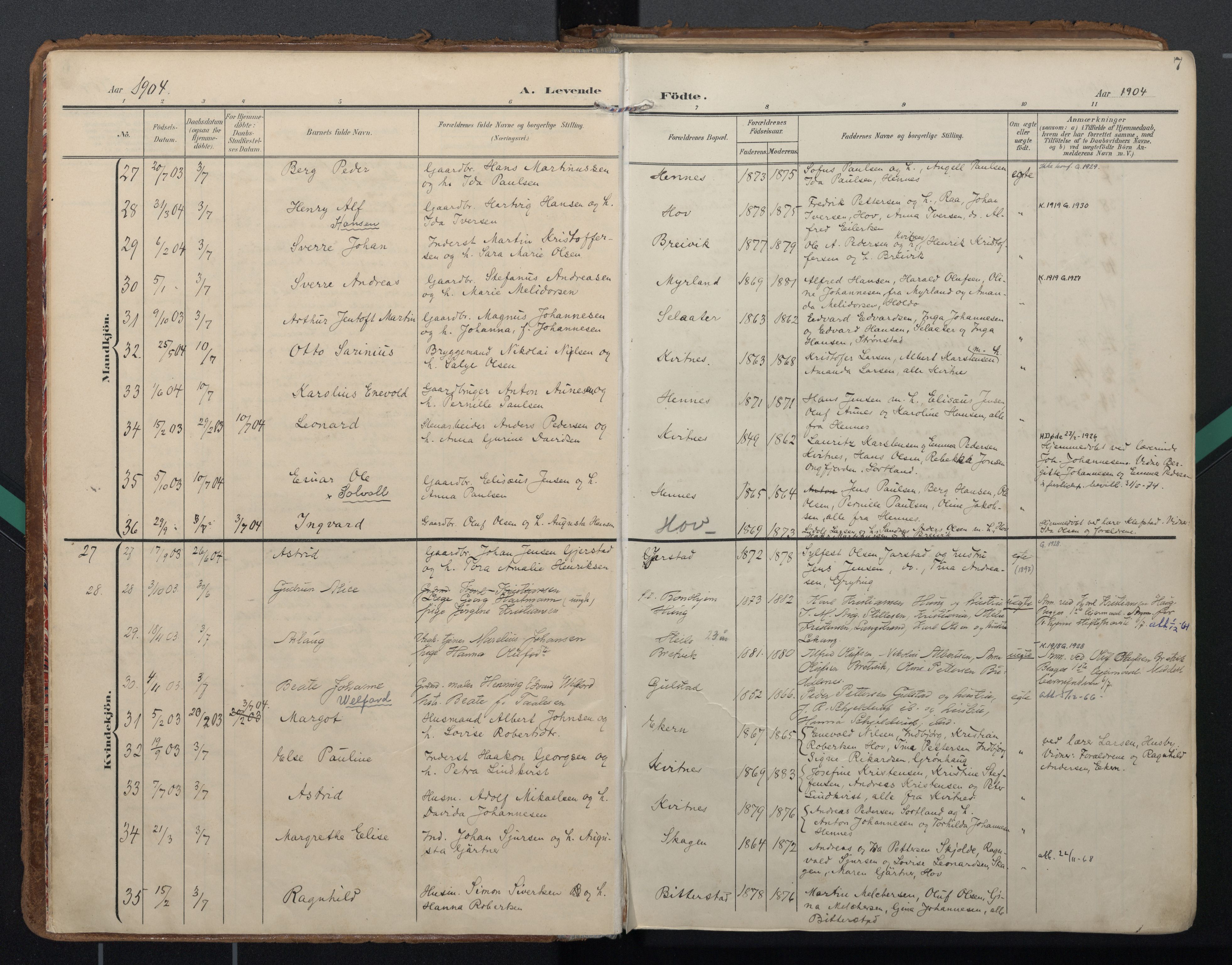 Ministerialprotokoller, klokkerbøker og fødselsregistre - Nordland, SAT/A-1459/888/L1248: Parish register (official) no. 888A14, 1904-1913, p. 7
