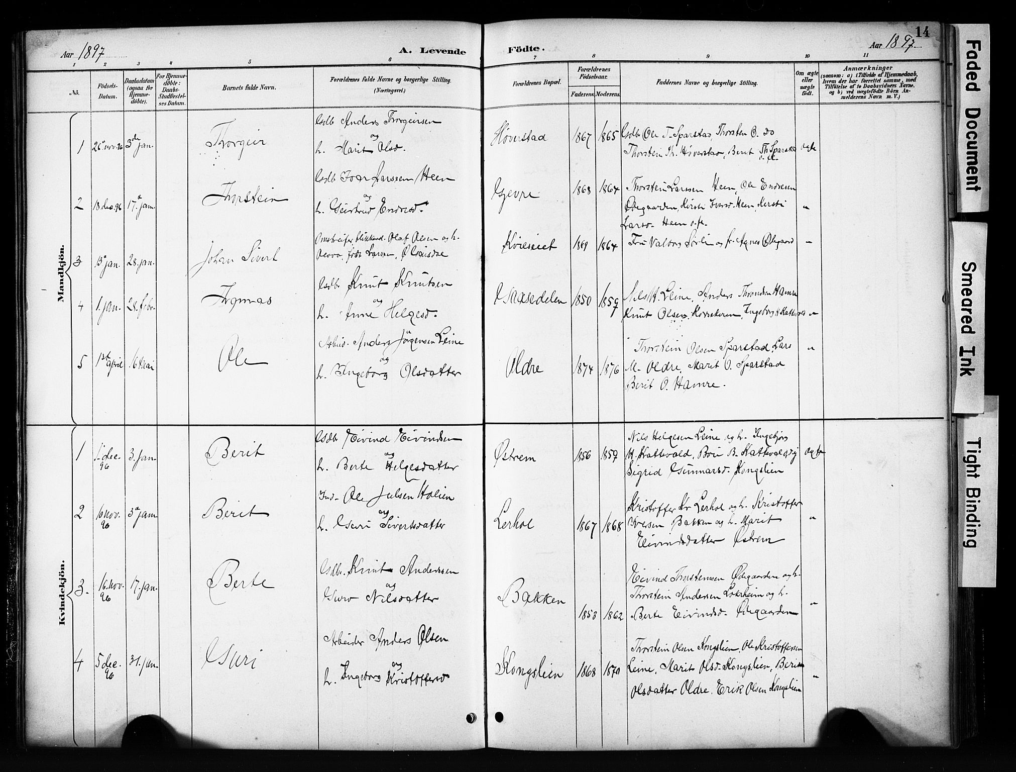 Vang prestekontor, Valdres, SAH/PREST-140/H/Hb/L0006: Parish register (copy) no. 6, 1893-1918, p. 14