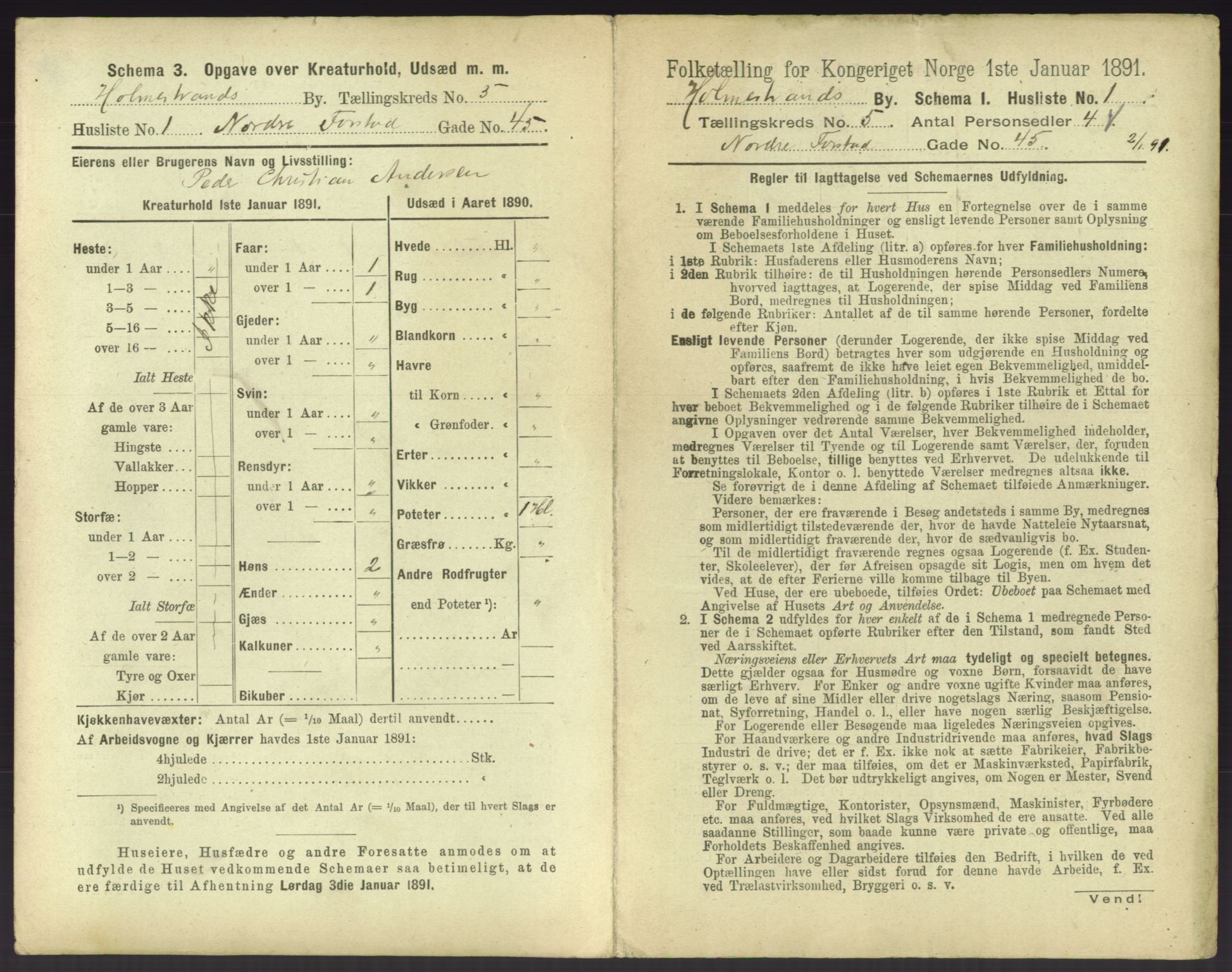 RA, 1891 census for 0702 Holmestrand, 1891, p. 394