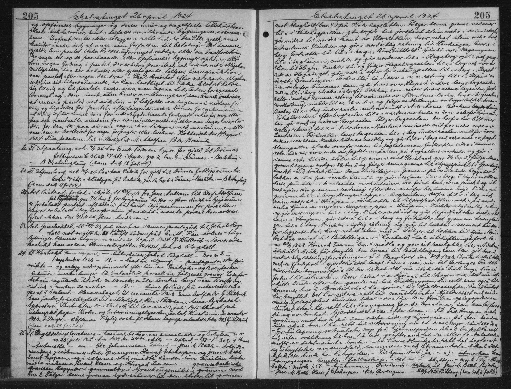 Rana sorenskriveri , AV/SAT-A-1108/1/2/2C/L0018: Mortgage book no. 18, 1923-1928, p. 205, Deed date: 26.04.1924