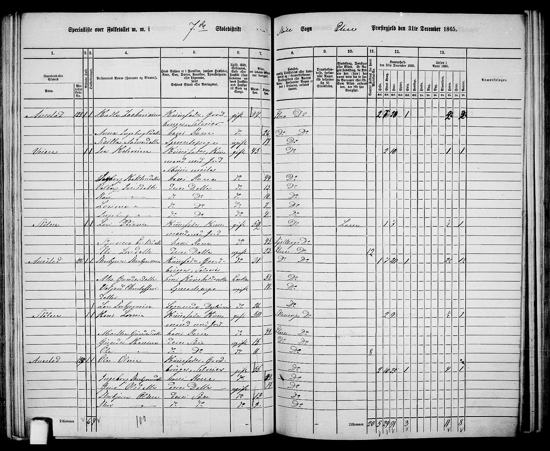 RA, 1865 census for Etne, 1865, p. 105