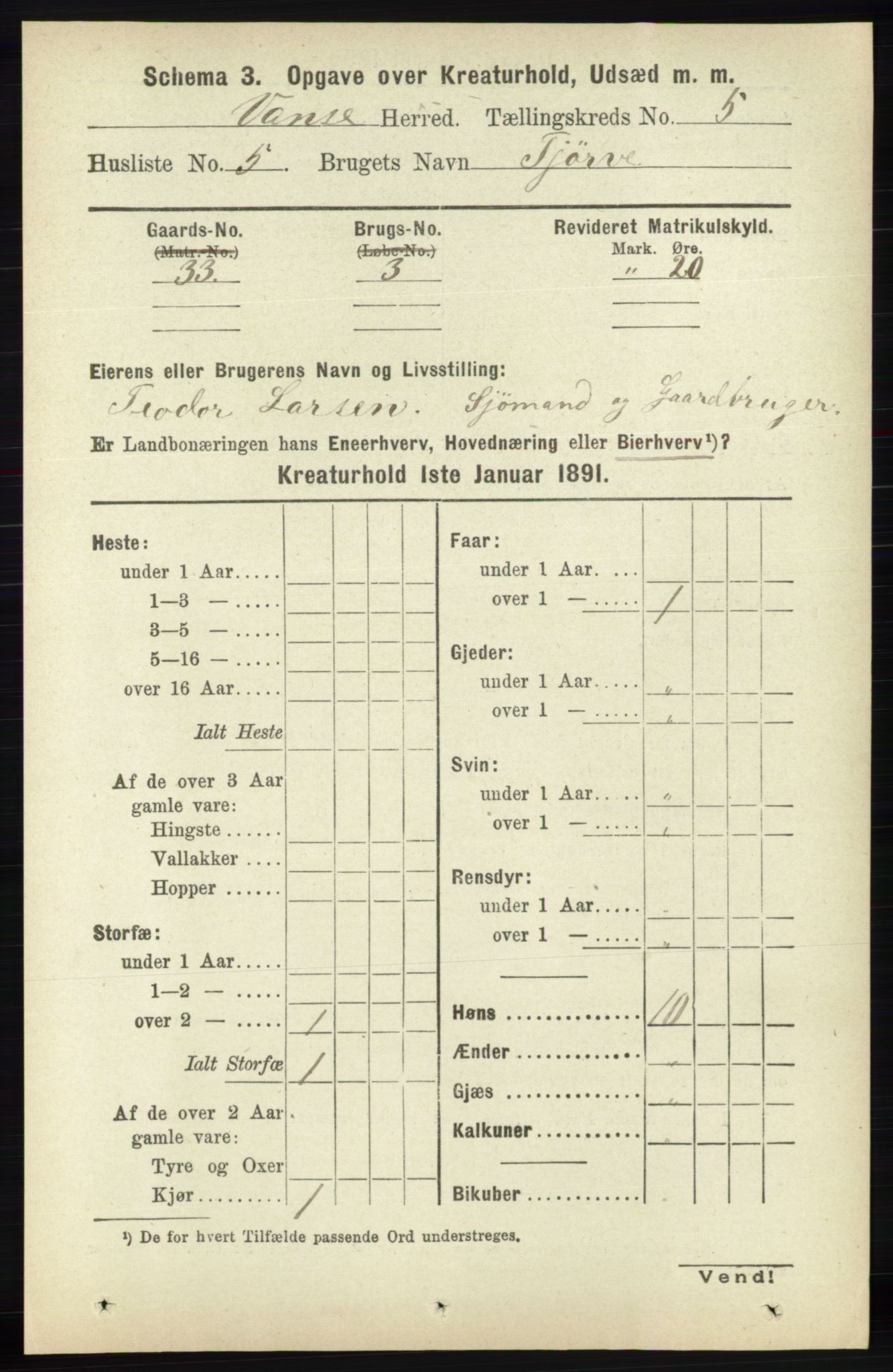 RA, 1891 census for 1041 Vanse, 1891, p. 8743