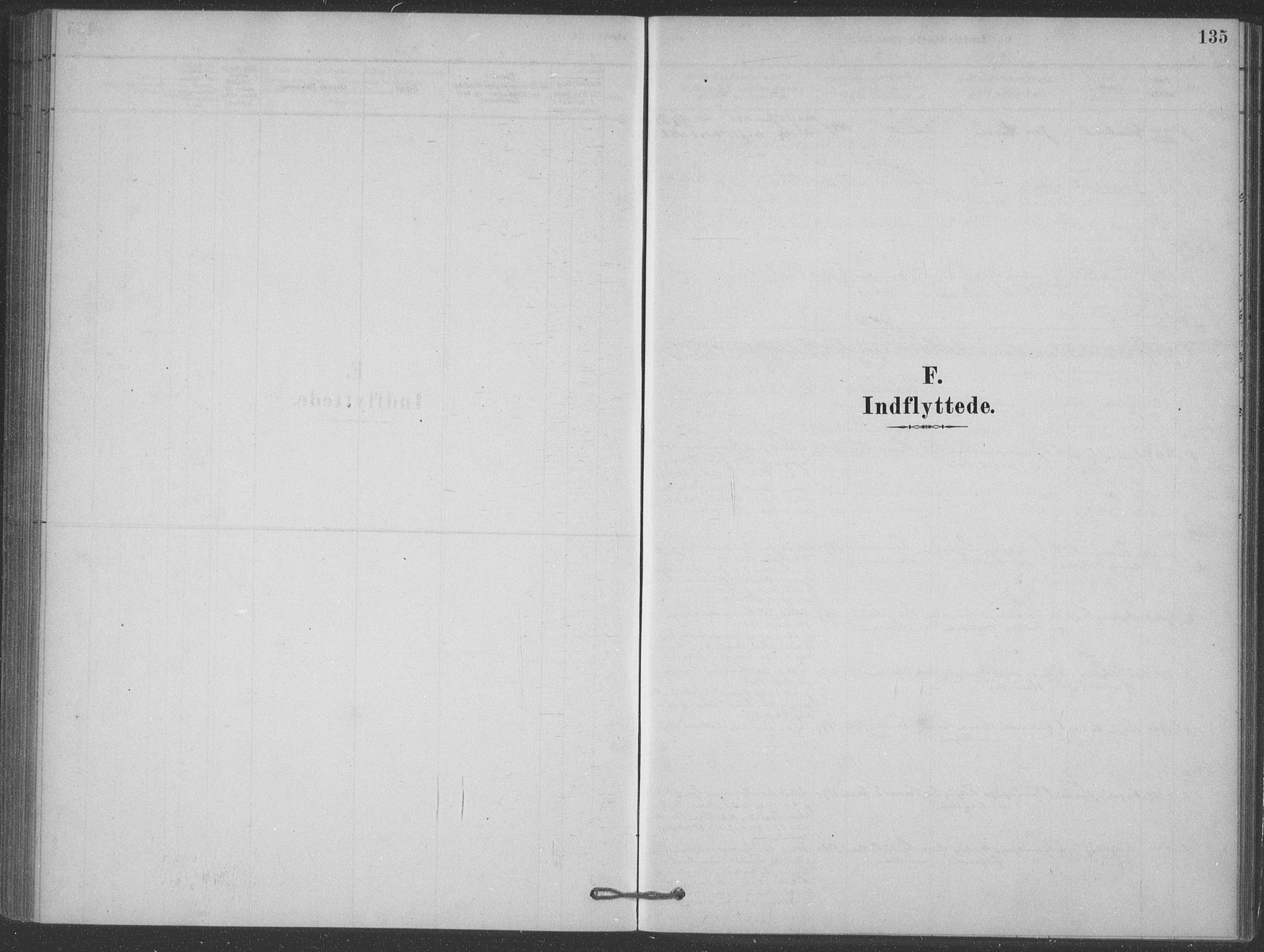 Heddal kirkebøker, SAKO/A-268/F/Fb/L0002: Parish register (official) no. II 2, 1878-1913, p. 135
