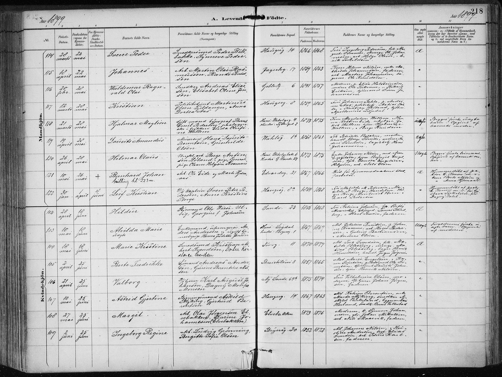 Sandviken Sokneprestembete, SAB/A-77601/H/Ha/L0005: Parish register (official) no. B 2, 1891-1901, p. 218