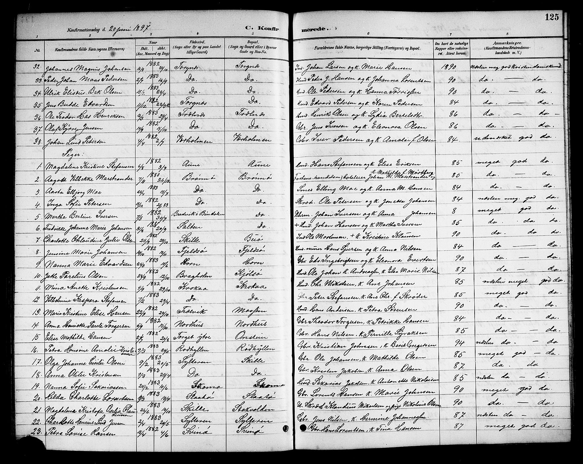 Ministerialprotokoller, klokkerbøker og fødselsregistre - Nordland, AV/SAT-A-1459/813/L0213: Parish register (copy) no. 813C05, 1887-1903, p. 125