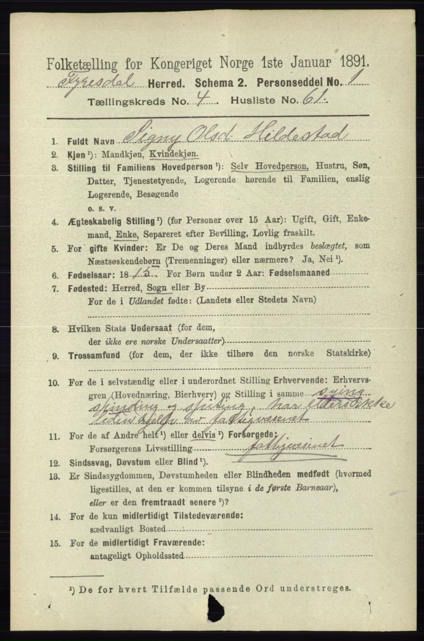 RA, 1891 census for 0831 Fyresdal, 1891, p. 1204