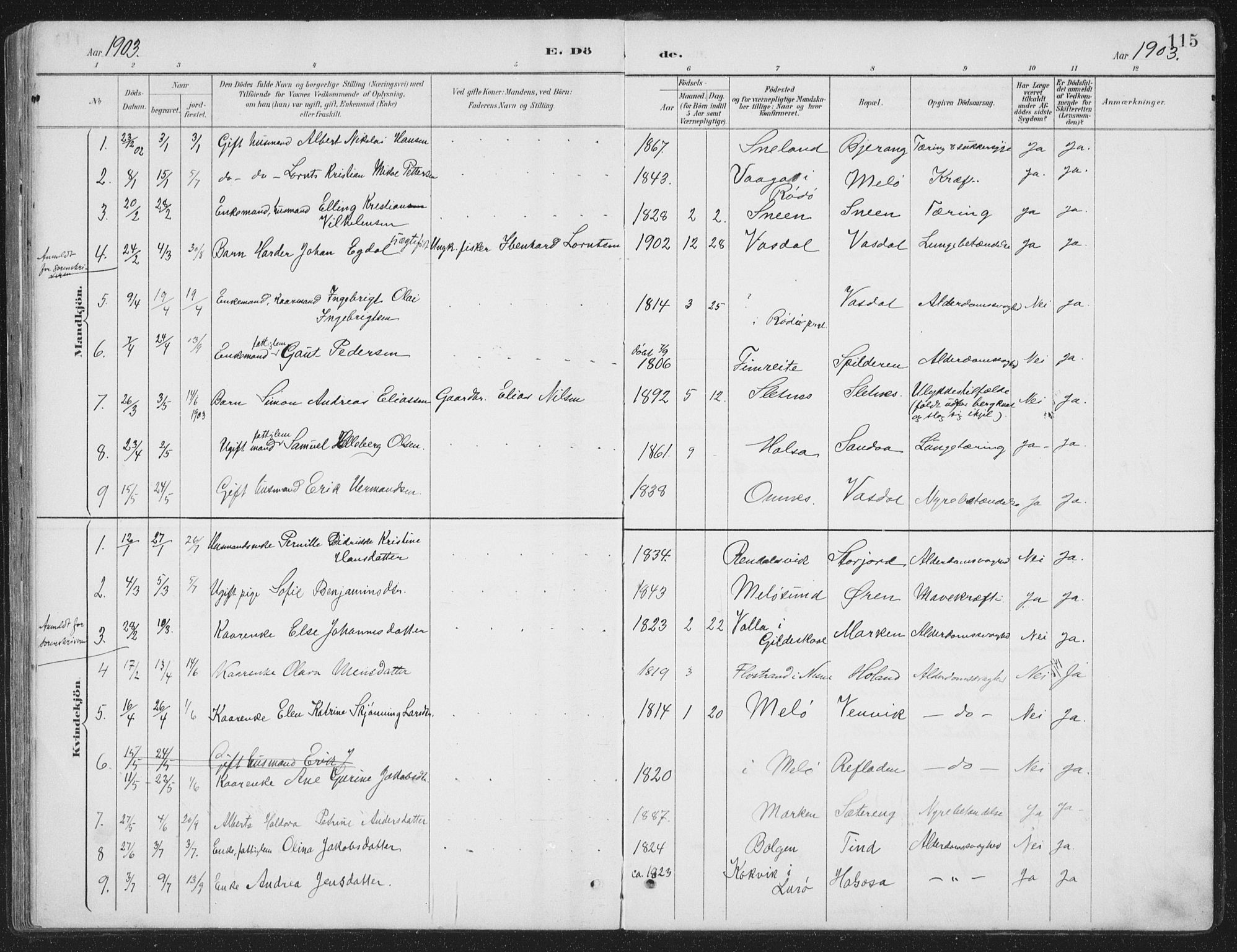 Ministerialprotokoller, klokkerbøker og fødselsregistre - Nordland, SAT/A-1459/843/L0638: Parish register (copy) no. 843C07, 1888-1907, p. 115