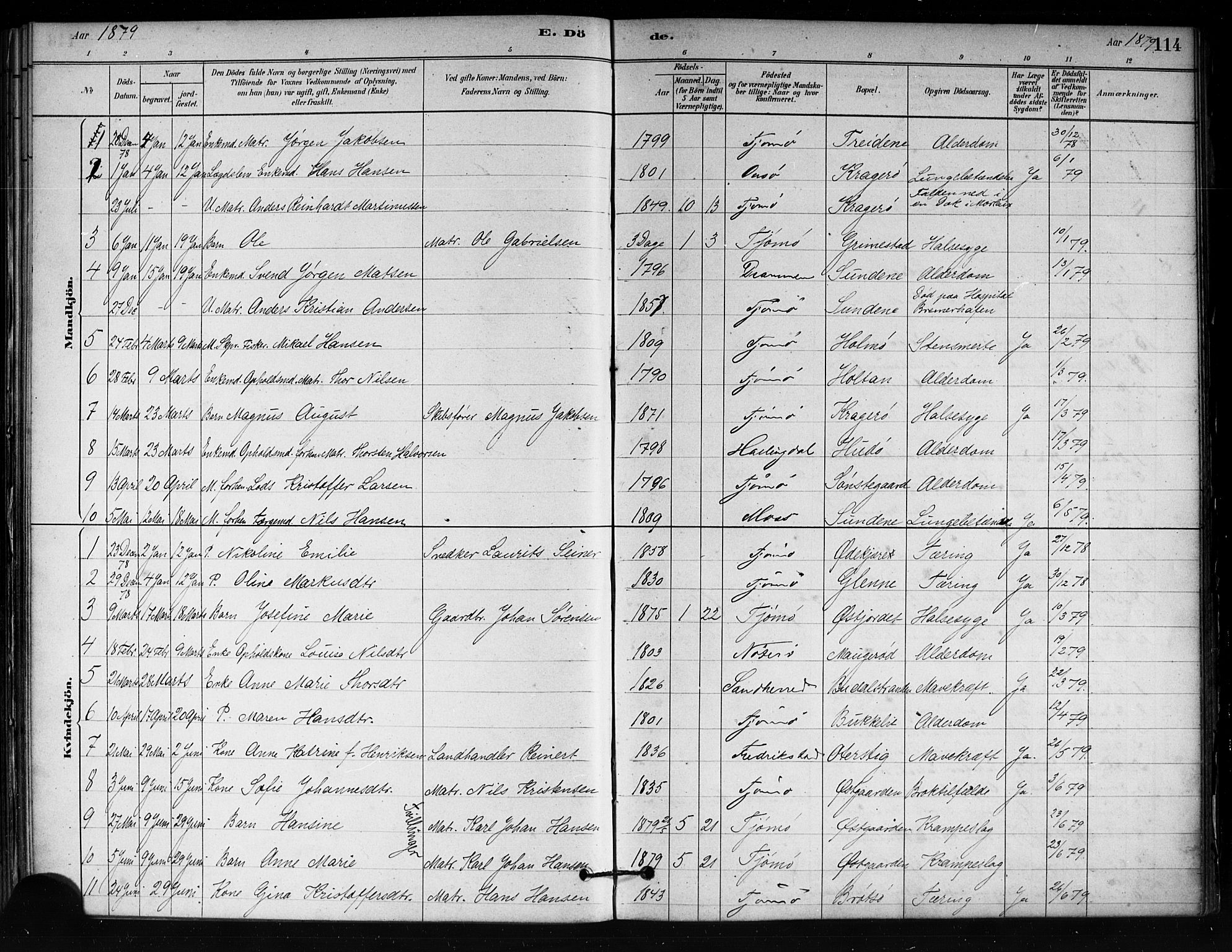 Tjøme kirkebøker, SAKO/A-328/F/Fa/L0001: Parish register (official) no. 1, 1879-1890, p. 114