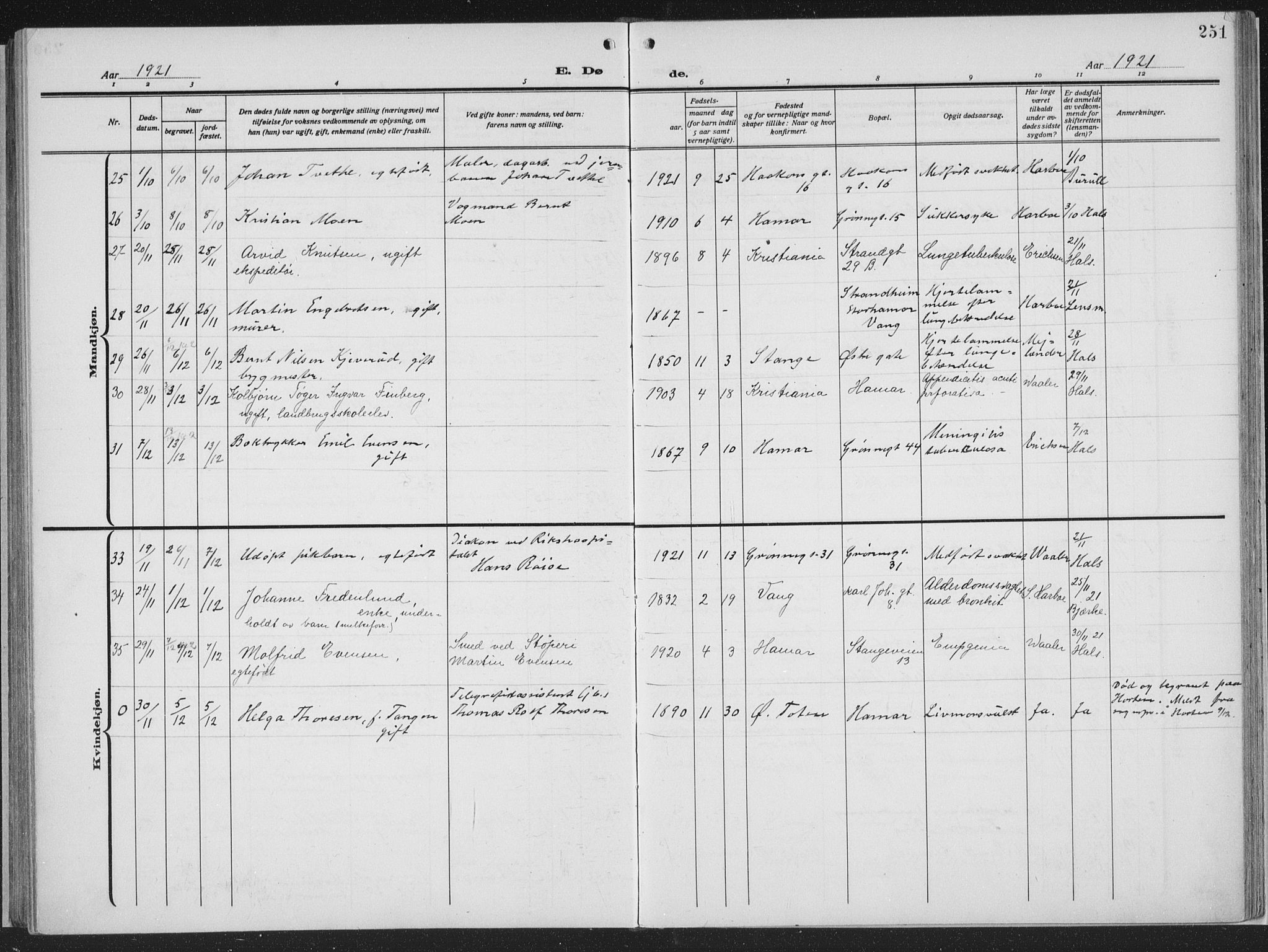 Hamar prestekontor, AV/SAH-DOMPH-002/H/Ha/Haa/L0002: Parish register (official) no. 2, 1915-1936, p. 251