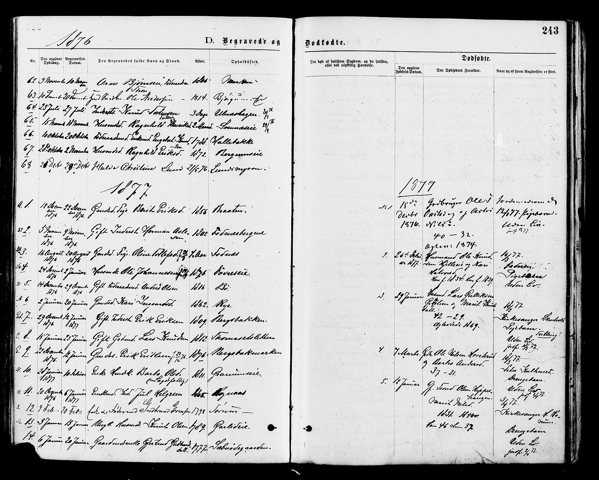 Nord-Aurdal prestekontor, SAH/PREST-132/H/Ha/Haa/L0009: Parish register (official) no. 9, 1876-1882, p. 243