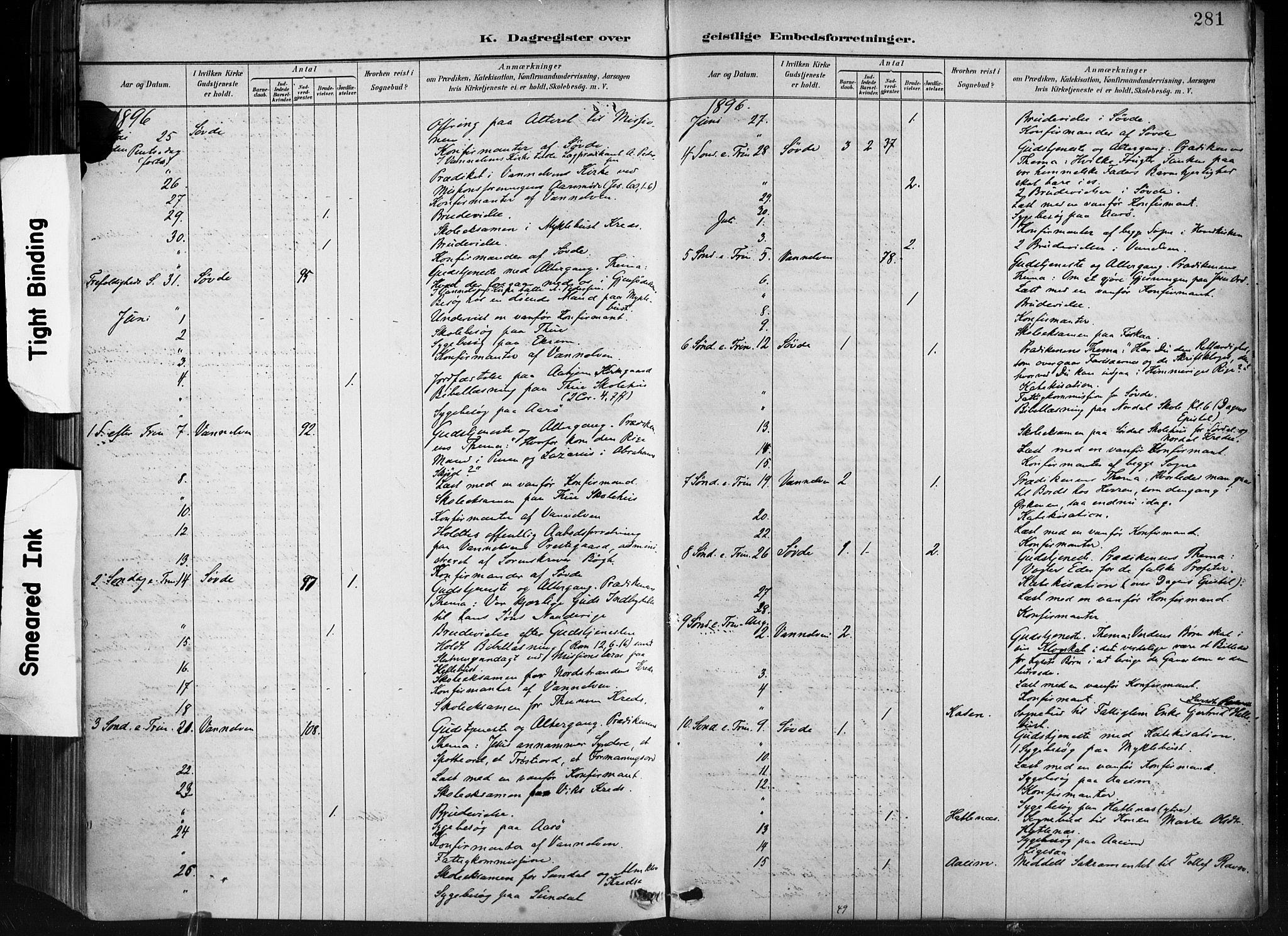 Ministerialprotokoller, klokkerbøker og fødselsregistre - Møre og Romsdal, AV/SAT-A-1454/501/L0008: Parish register (official) no. 501A08, 1885-1901, p. 281