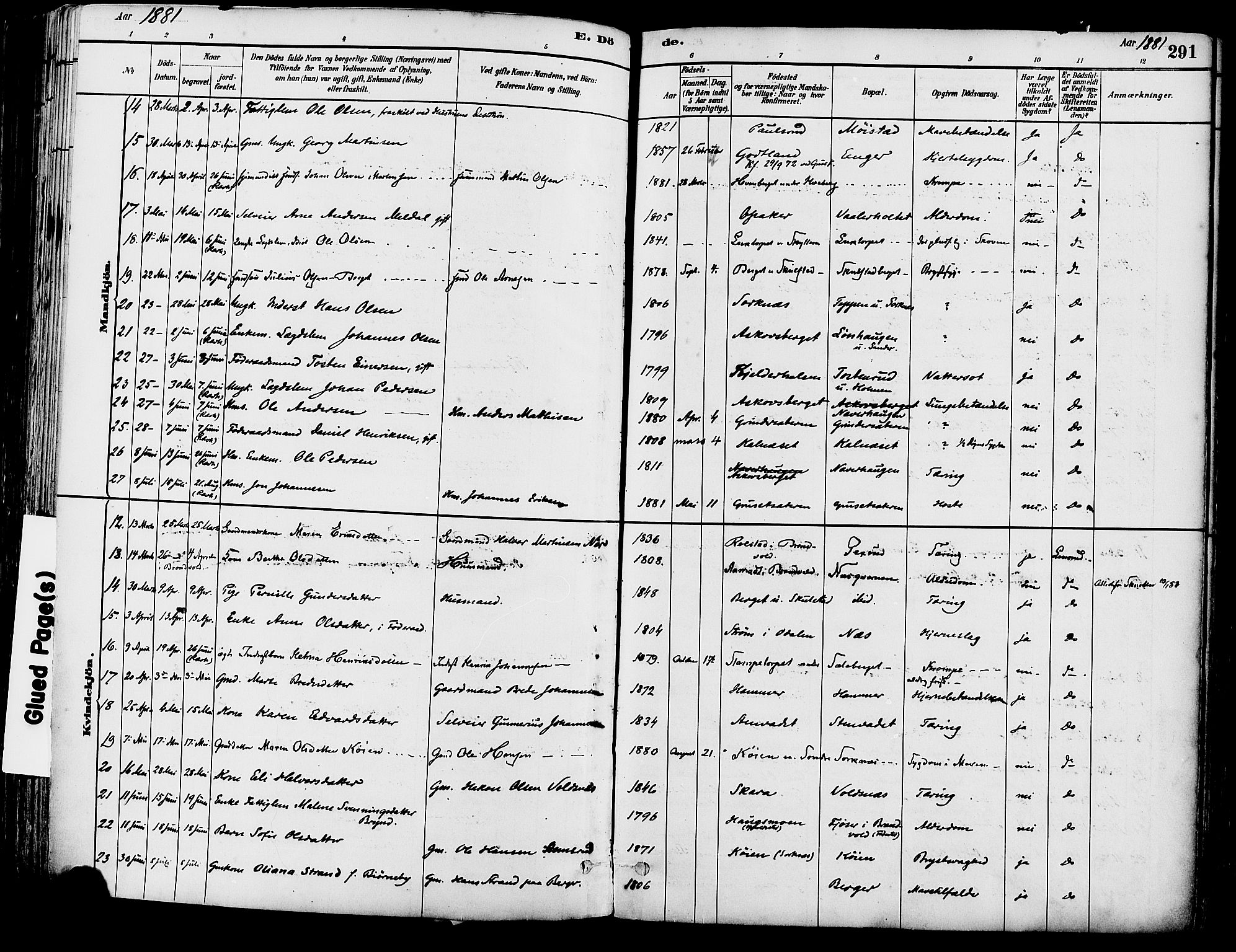 Grue prestekontor, SAH/PREST-036/H/Ha/Haa/L0012: Parish register (official) no. 12, 1881-1897, p. 291