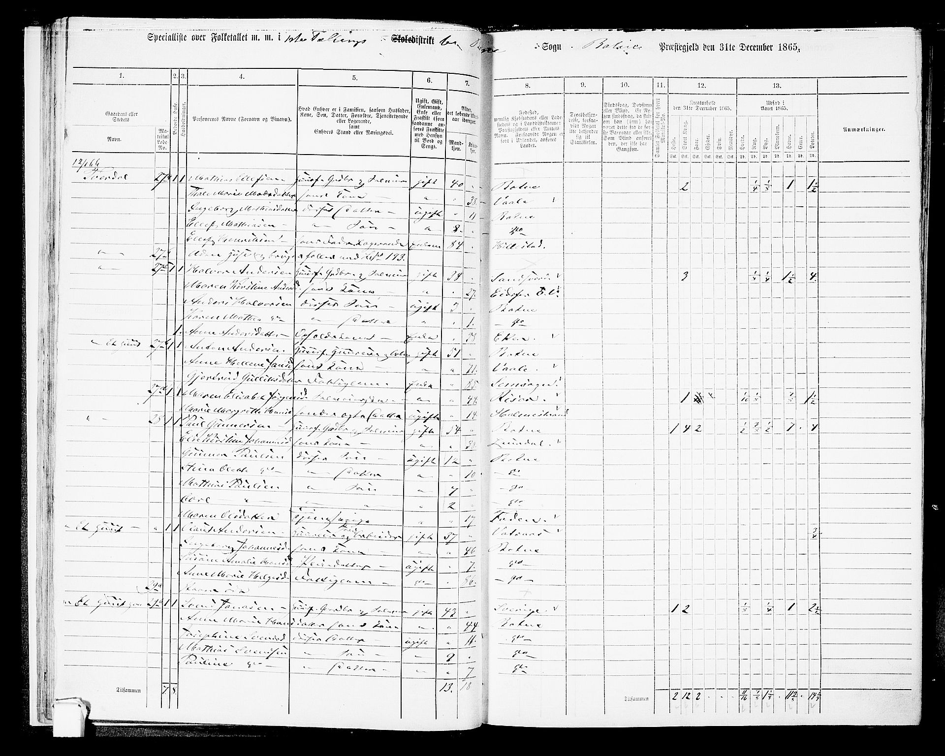 RA, 1865 census for Botne/Botne og Hillestad, 1865, p. 25