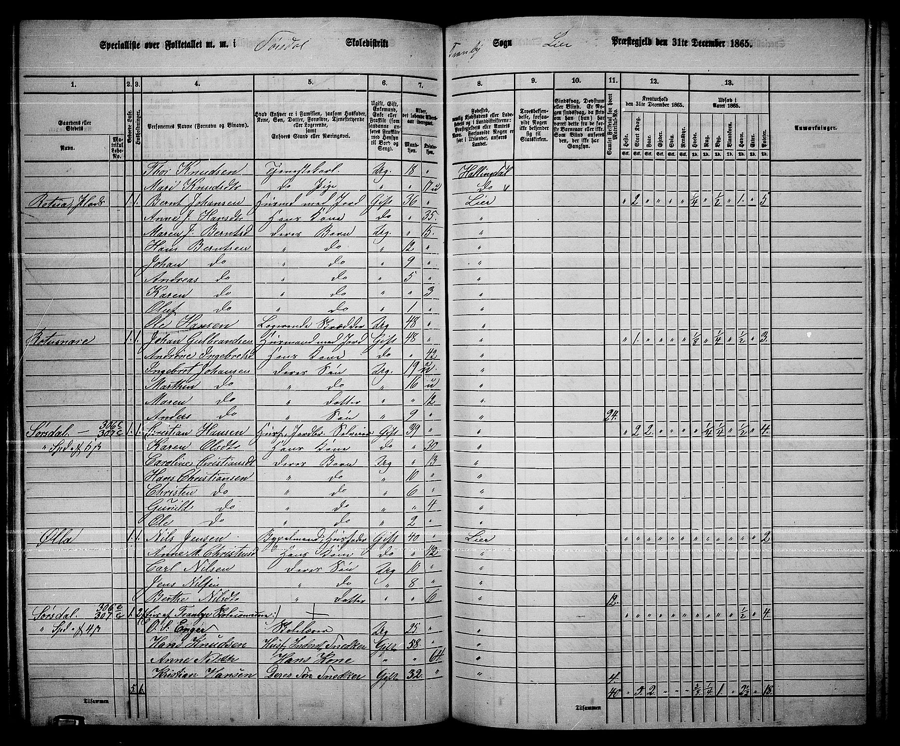 RA, 1865 census for Lier, 1865, p. 166