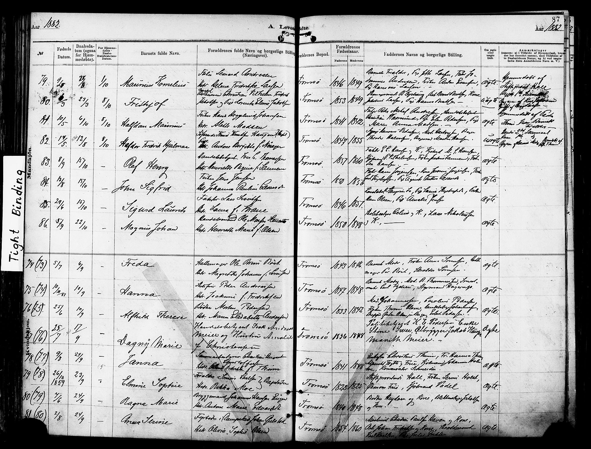 Tromsø sokneprestkontor/stiftsprosti/domprosti, SATØ/S-1343/G/Ga/L0014kirke: Parish register (official) no. 14, 1878-1888, p. 87