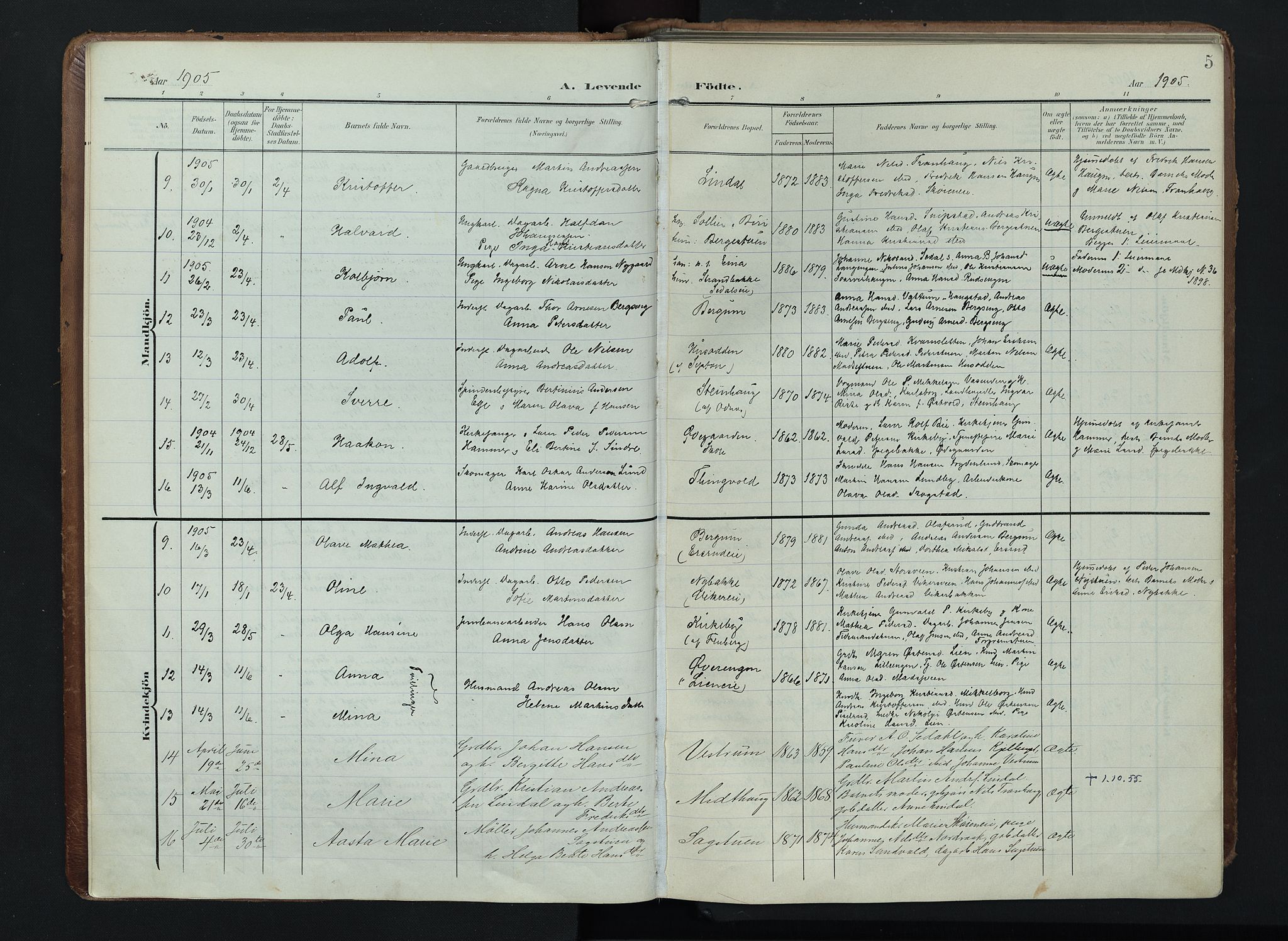 Søndre Land prestekontor, SAH/PREST-122/K/L0005: Parish register (official) no. 5, 1905-1914, p. 5