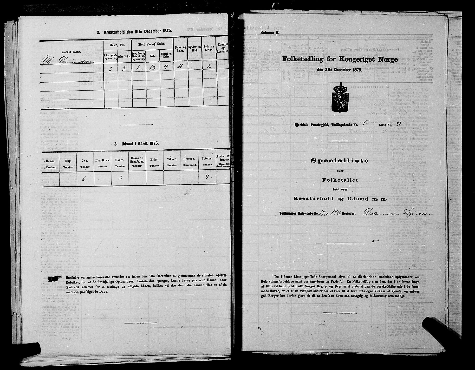 SAKO, 1875 census for 0827P Hjartdal, 1875, p. 810