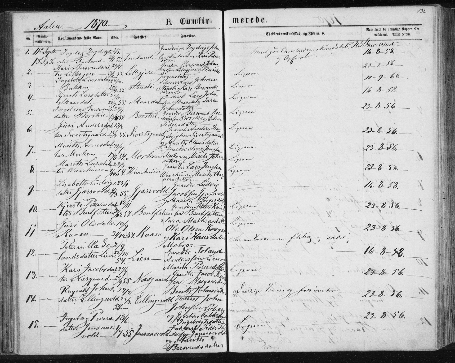 Ministerialprotokoller, klokkerbøker og fødselsregistre - Sør-Trøndelag, AV/SAT-A-1456/685/L0971: Parish register (official) no. 685A08 /3, 1870-1879, p. 132