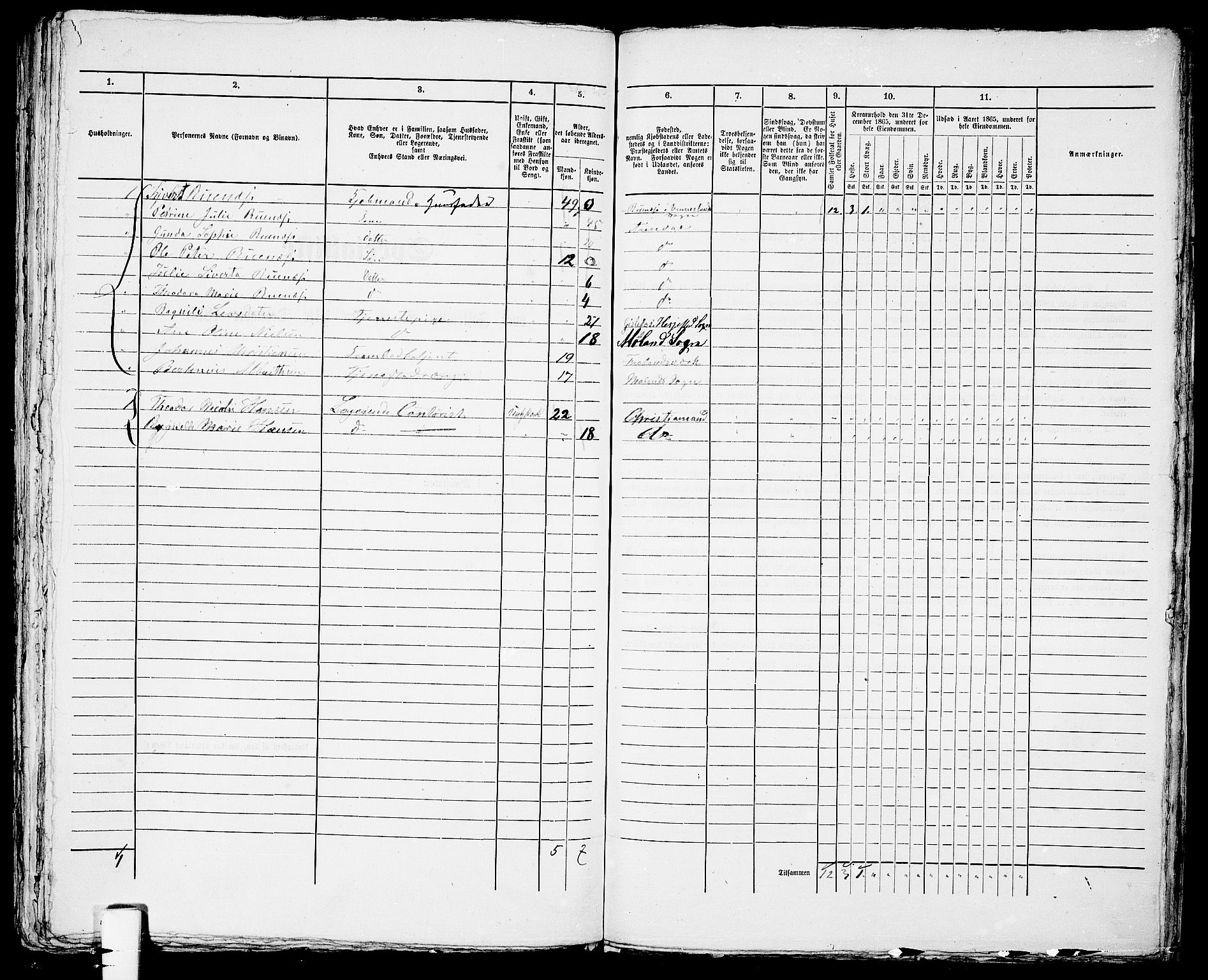 RA, 1865 census for Arendal, 1865, p. 314