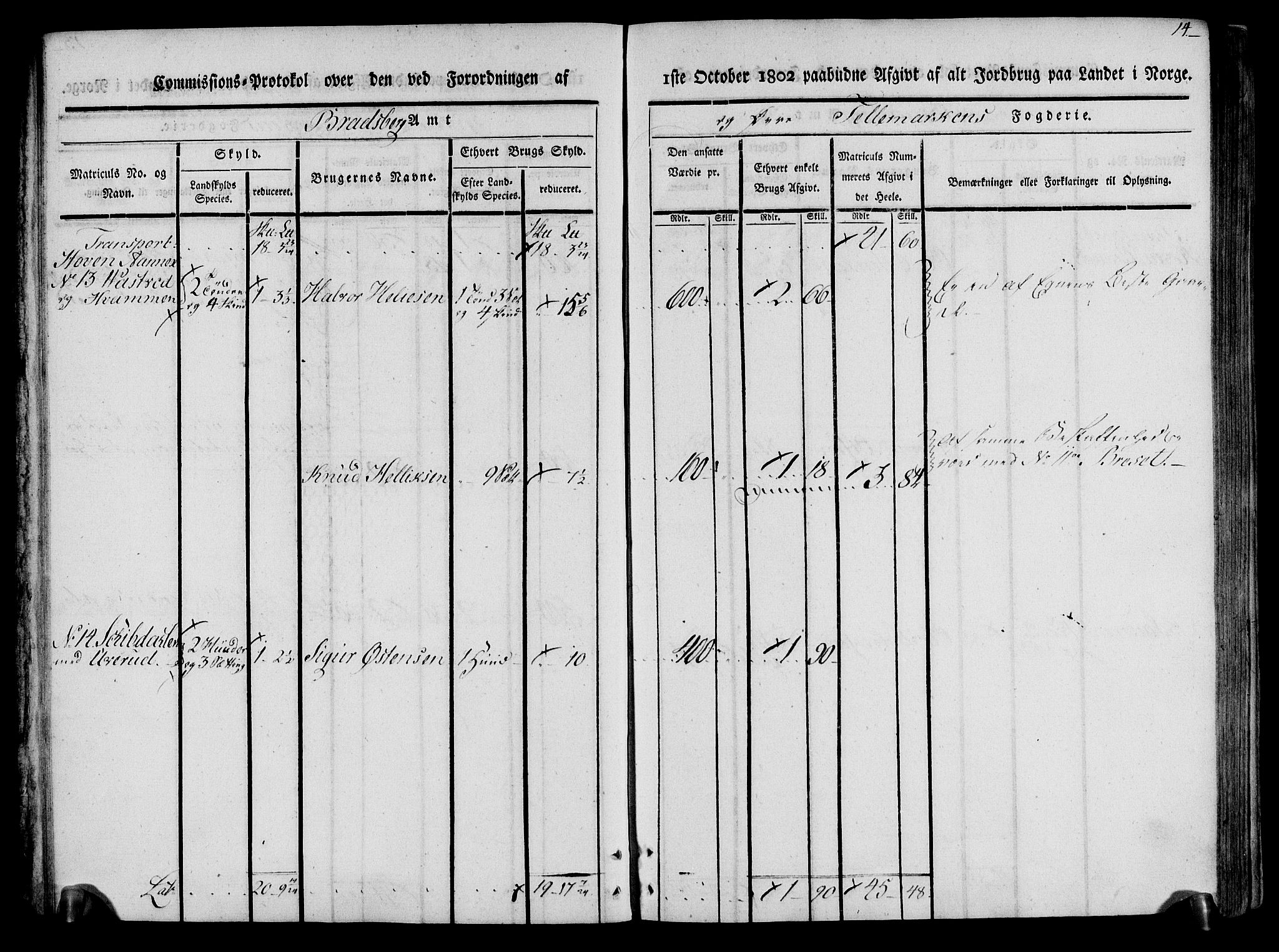 Rentekammeret inntil 1814, Realistisk ordnet avdeling, AV/RA-EA-4070/N/Ne/Nea/L0074: Øvre Telemarken fogderi. Kommisjonsprotokoll for fogderiets østre del - Tinn, Hjartdal og Seljord prestegjeld., 1803, p. 14