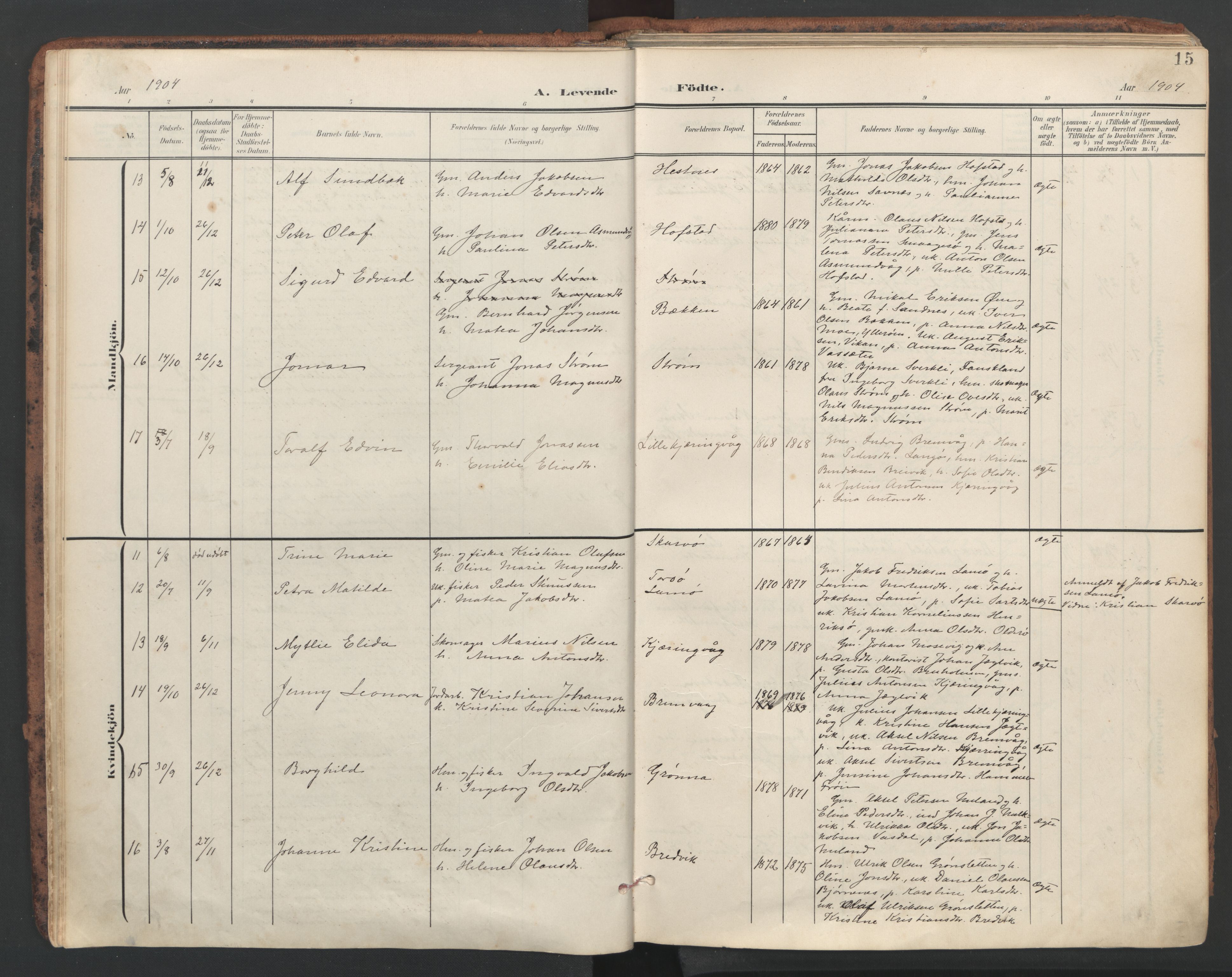 Ministerialprotokoller, klokkerbøker og fødselsregistre - Sør-Trøndelag, AV/SAT-A-1456/634/L0537: Parish register (official) no. 634A13, 1896-1922, p. 15