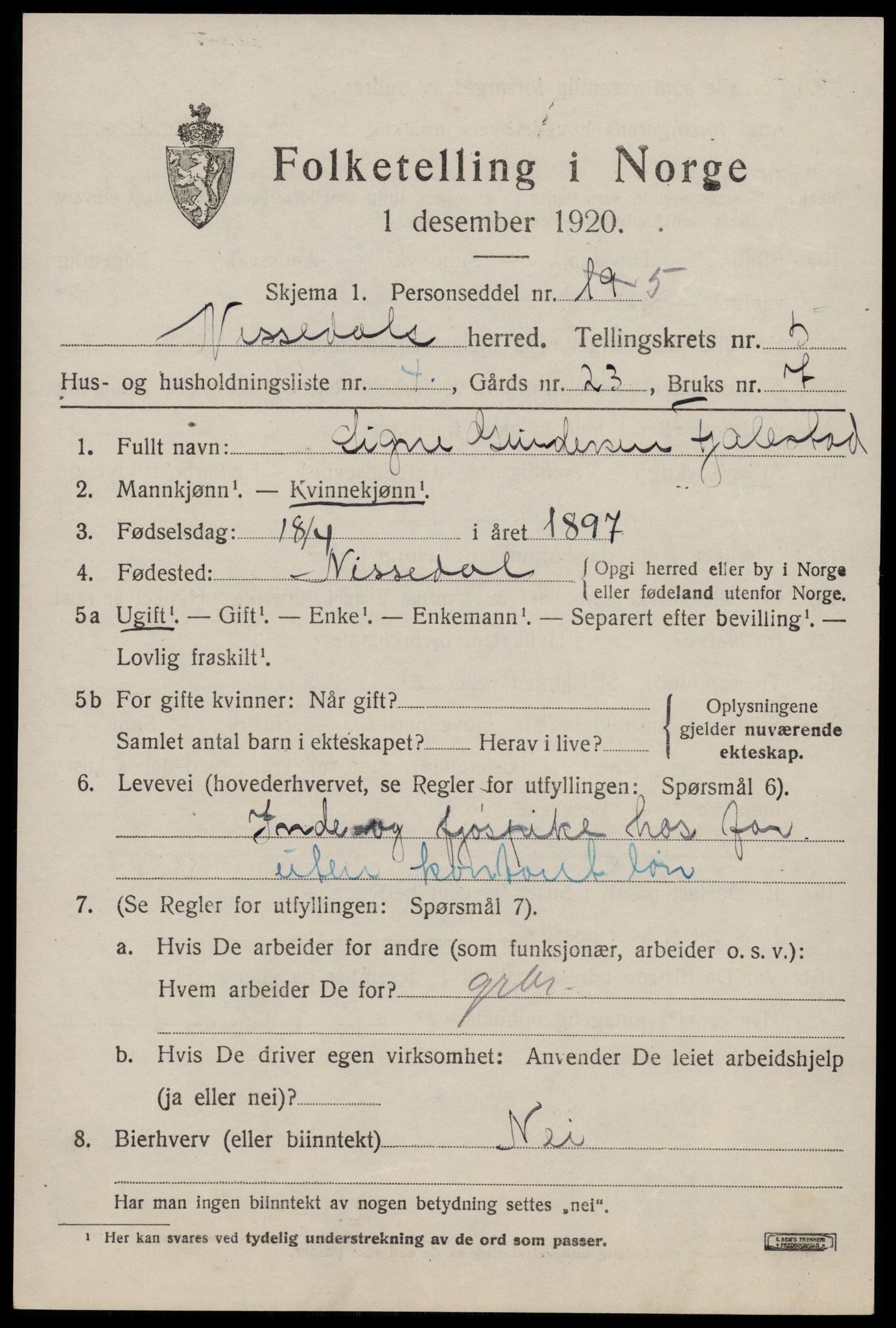 SAKO, 1920 census for Nissedal, 1920, p. 2067