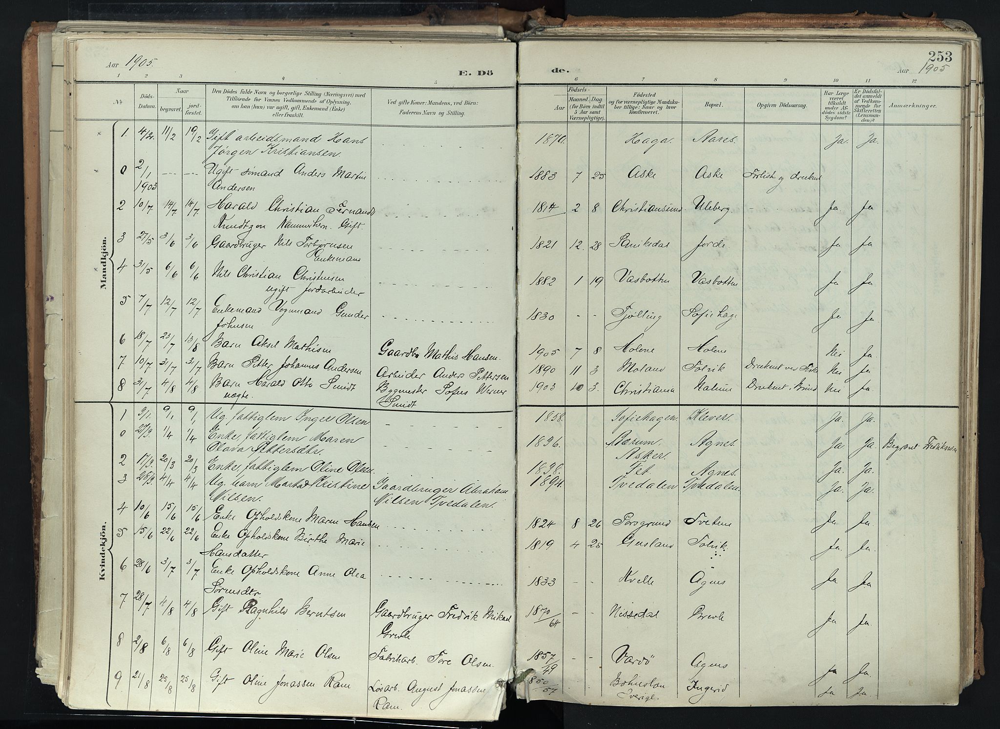 Brunlanes kirkebøker, SAKO/A-342/F/Fc/L0003: Parish register (official) no. III 3, 1900-1922, p. 253
