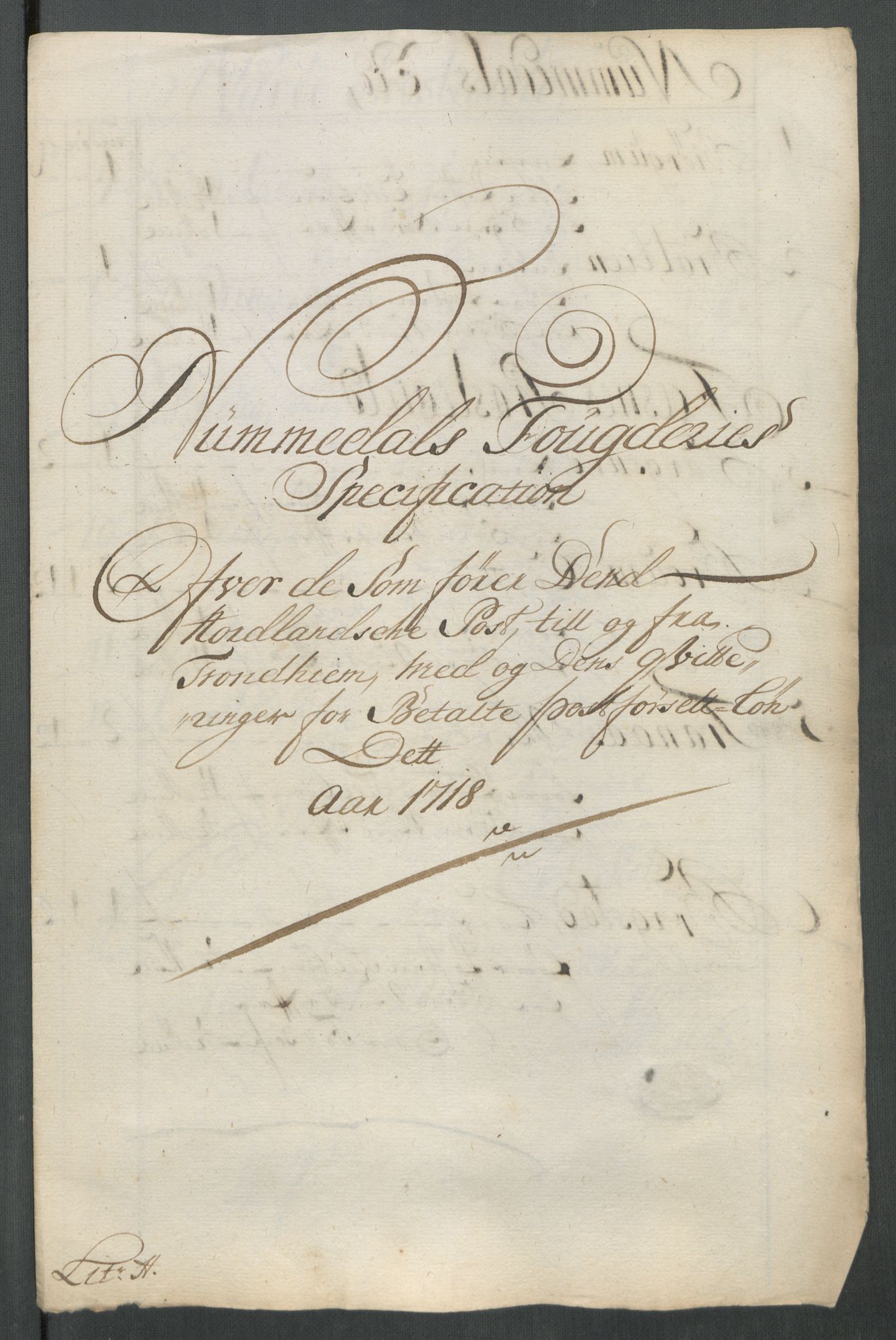 Rentekammeret inntil 1814, Reviderte regnskaper, Fogderegnskap, AV/RA-EA-4092/R64/L4439: Fogderegnskap Namdal, 1718, p. 209