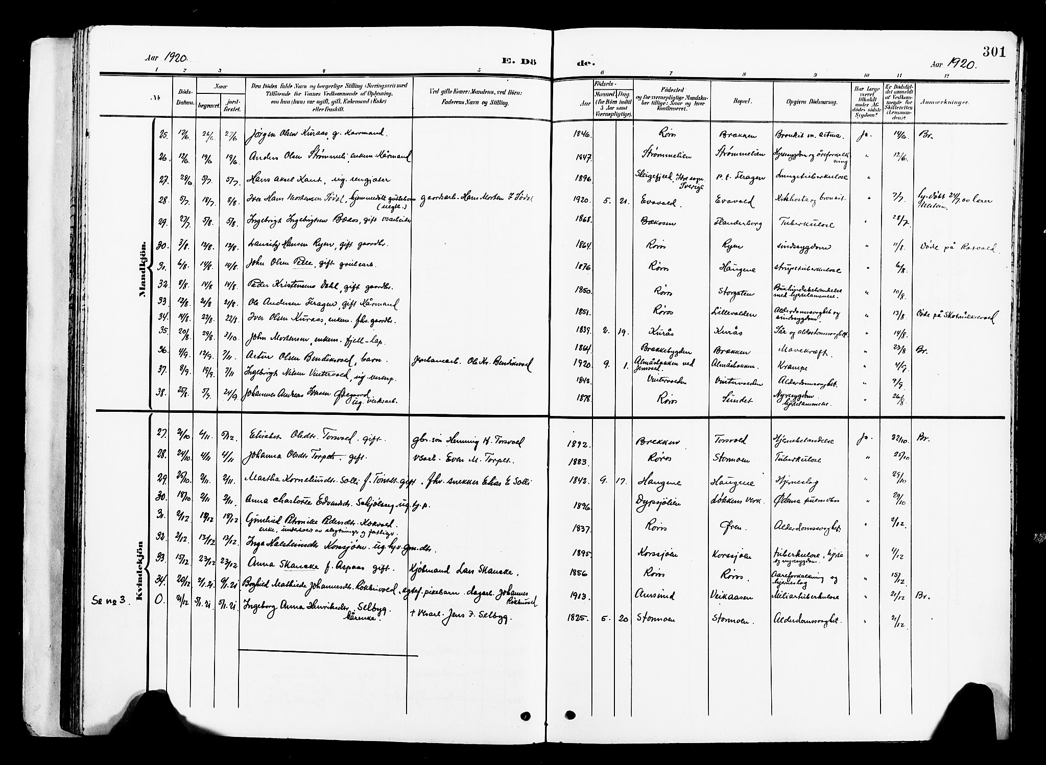 Ministerialprotokoller, klokkerbøker og fødselsregistre - Sør-Trøndelag, SAT/A-1456/681/L0942: Parish register (copy) no. 681C06, 1906-1925, p. 301