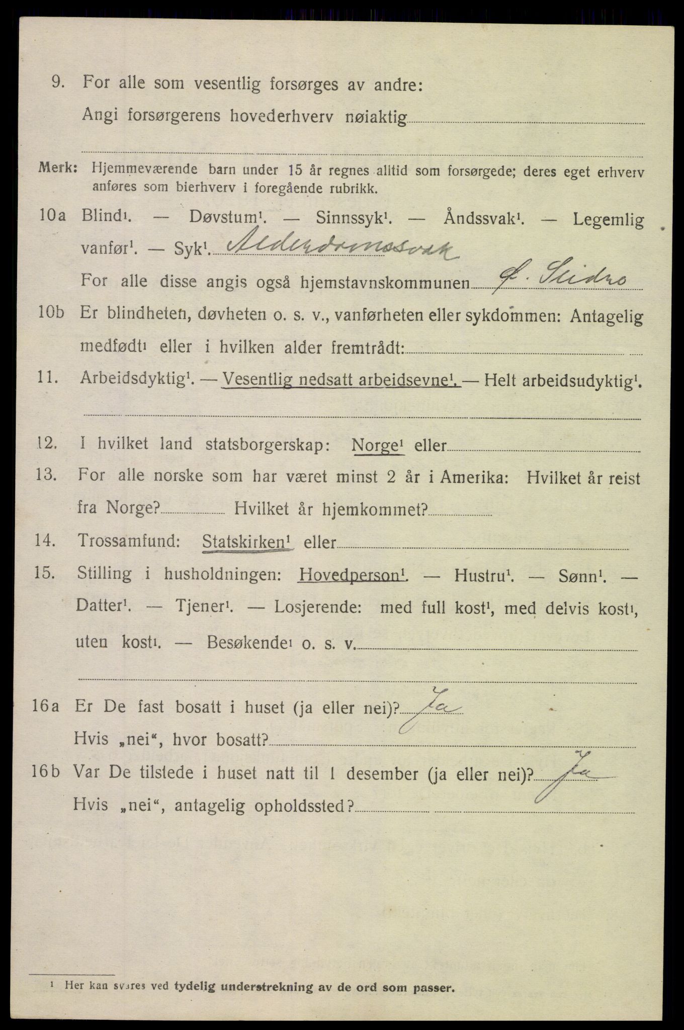 SAH, 1920 census for Øystre Slidre, 1920, p. 4022
