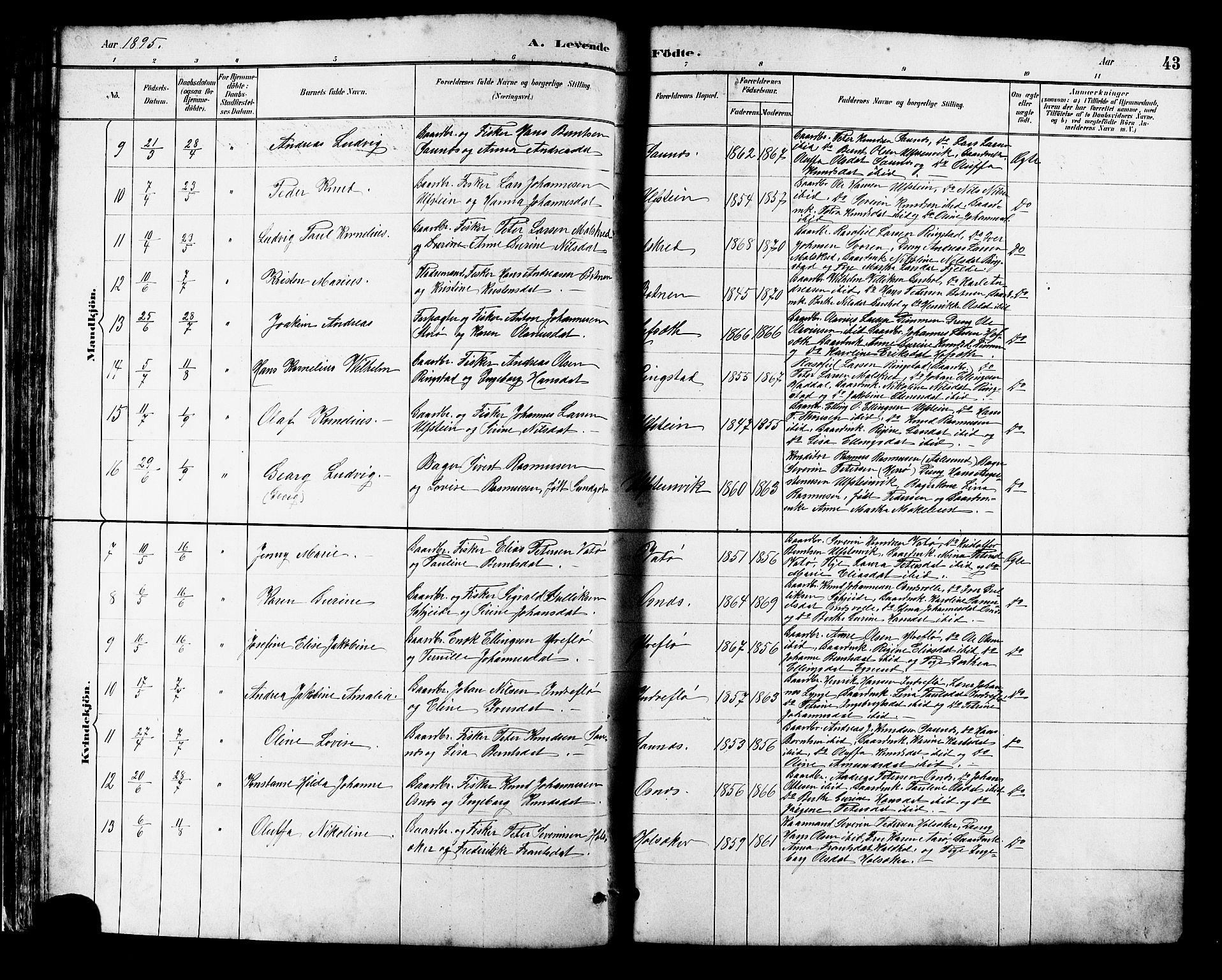 Ministerialprotokoller, klokkerbøker og fødselsregistre - Møre og Romsdal, AV/SAT-A-1454/509/L0112: Parish register (copy) no. 509C02, 1883-1922, p. 43