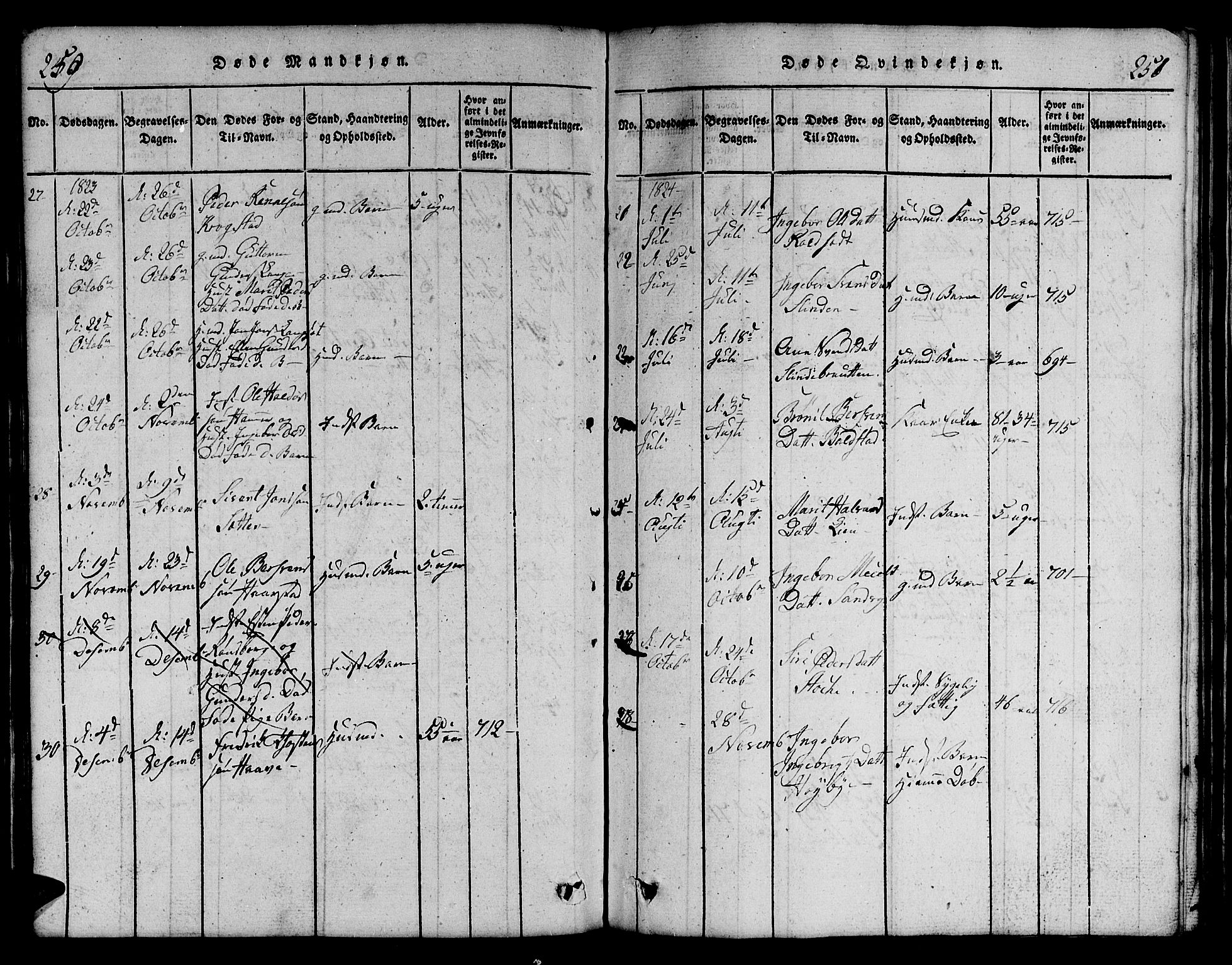 Ministerialprotokoller, klokkerbøker og fødselsregistre - Sør-Trøndelag, SAT/A-1456/695/L1152: Parish register (copy) no. 695C03, 1816-1831, p. 250-251