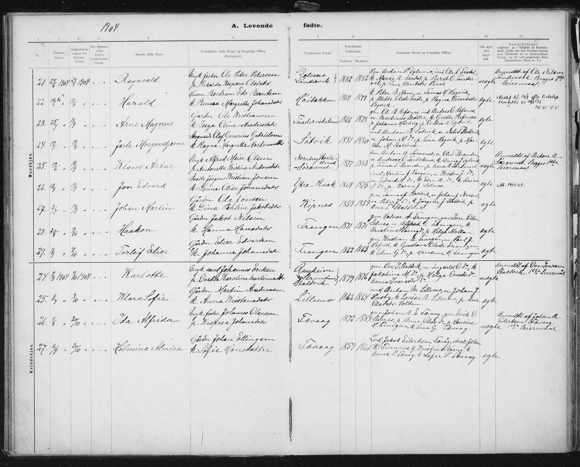 Ministerialprotokoller, klokkerbøker og fødselsregistre - Sør-Trøndelag, SAT/A-1456/653/L0660: Parish register (copy) no. 653C04, 1894-1919