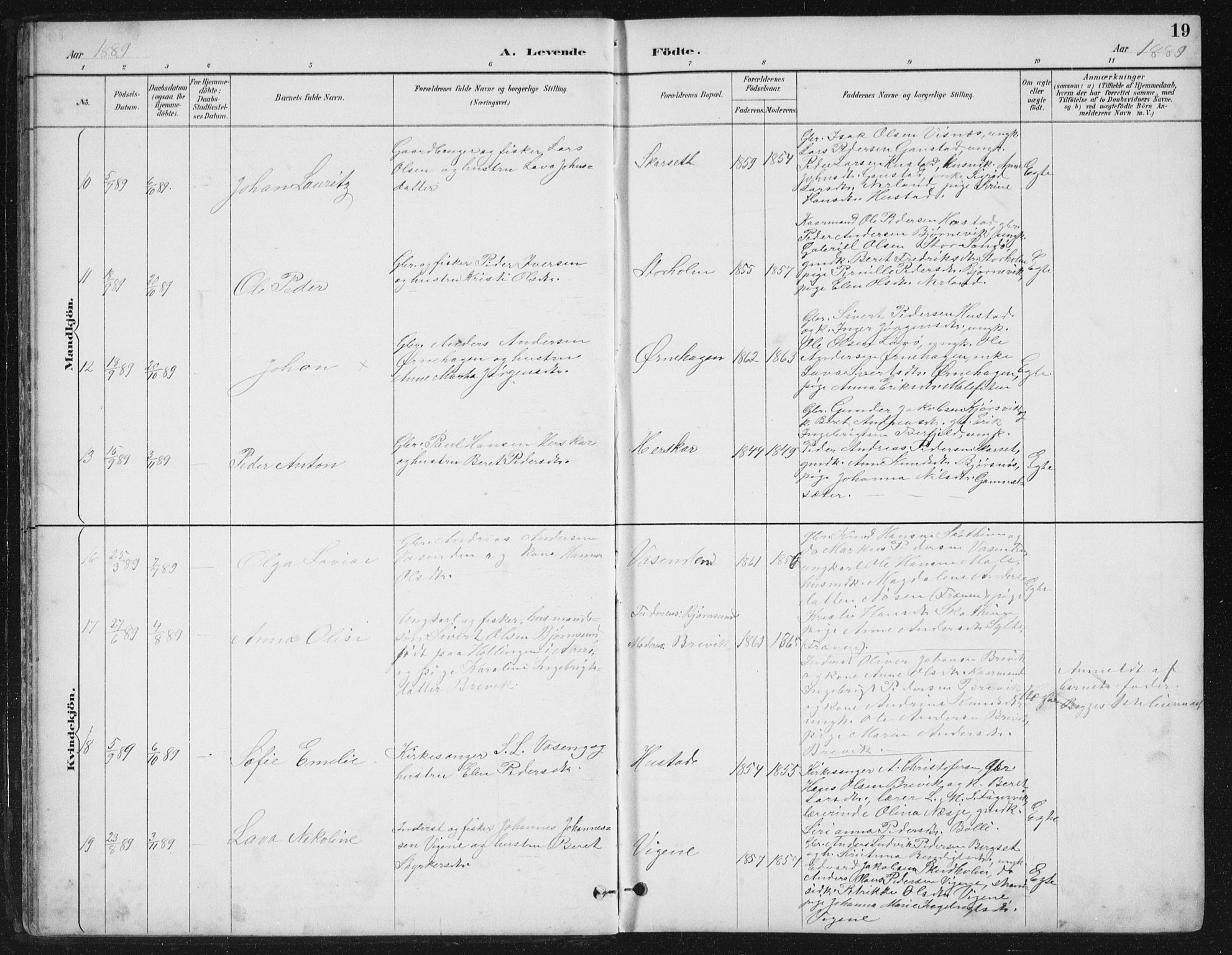 Ministerialprotokoller, klokkerbøker og fødselsregistre - Møre og Romsdal, AV/SAT-A-1454/567/L0783: Parish register (copy) no. 567C03, 1887-1903, p. 19