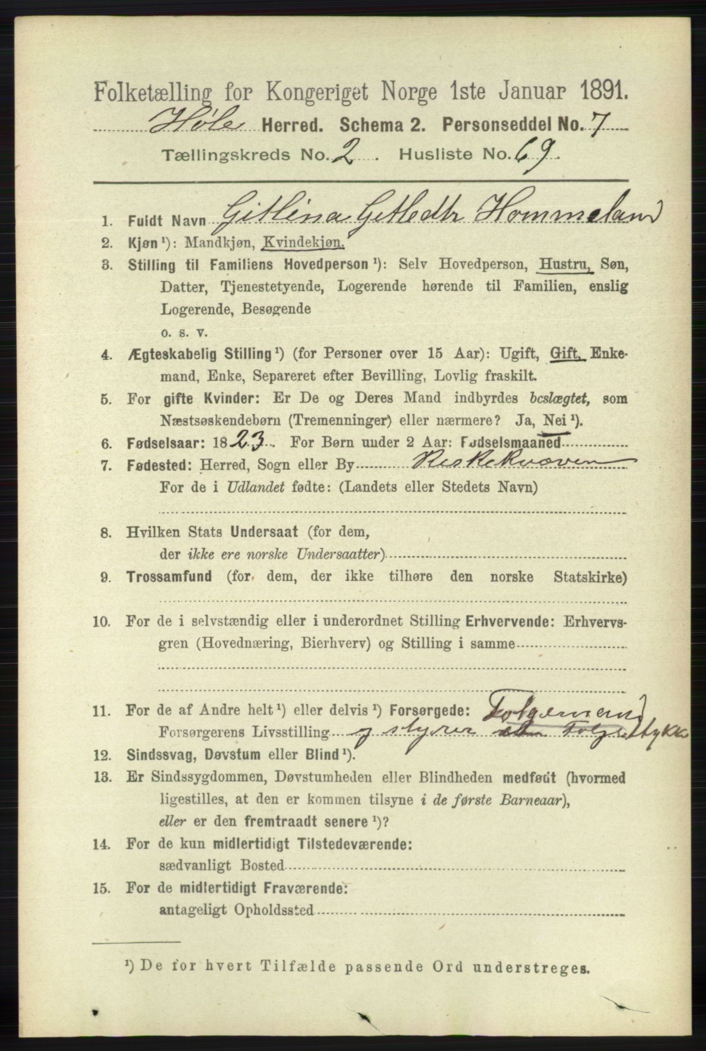 RA, 1891 census for 1128 Høle, 1891, p. 614