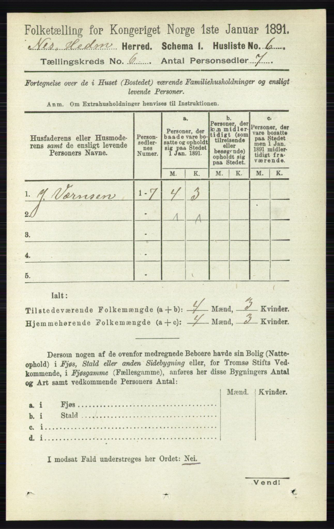 RA, 1891 census for 0411 Nes, 1891, p. 3174