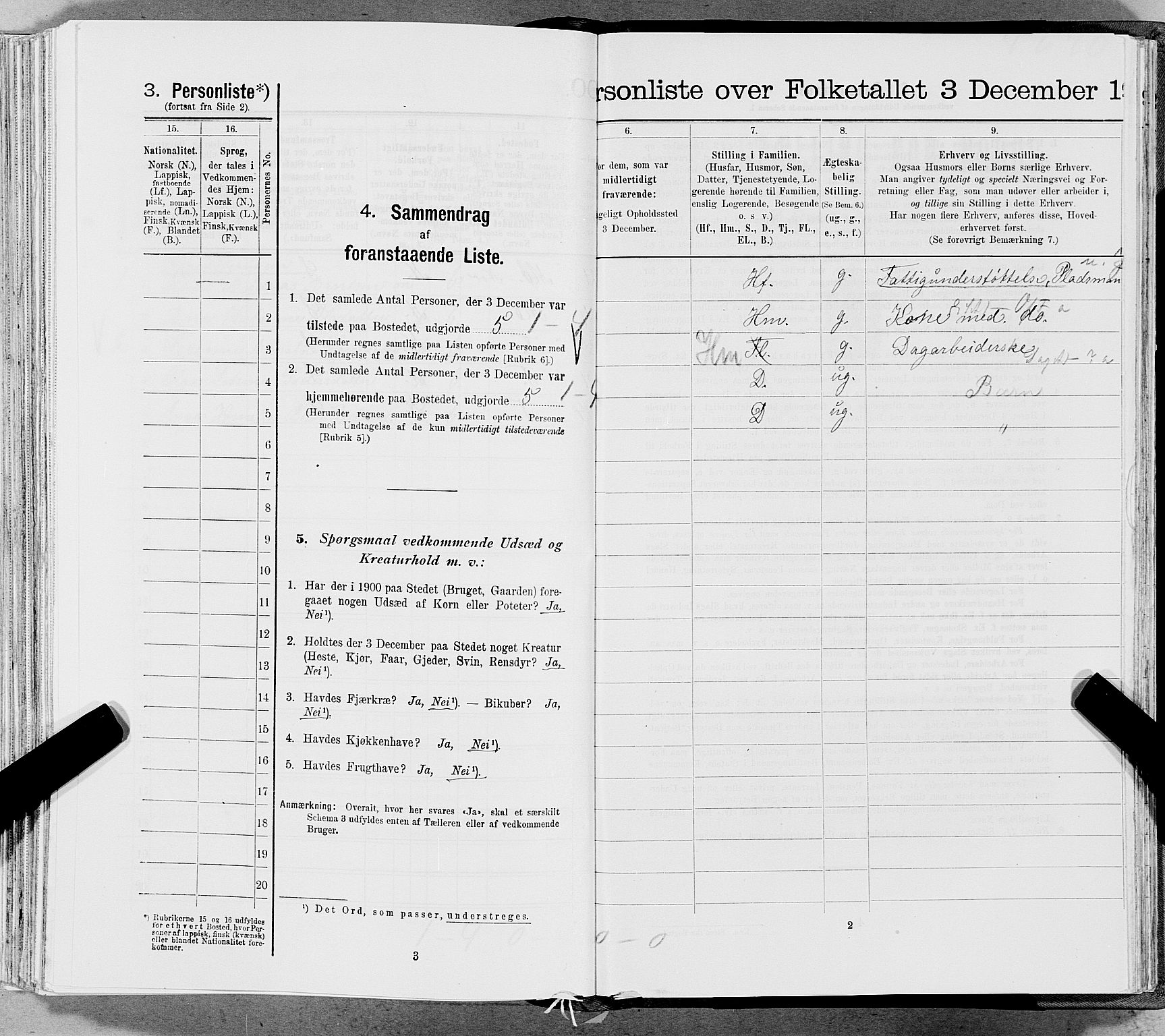 SAT, 1900 census for Hemnes, 1900, p. 1815