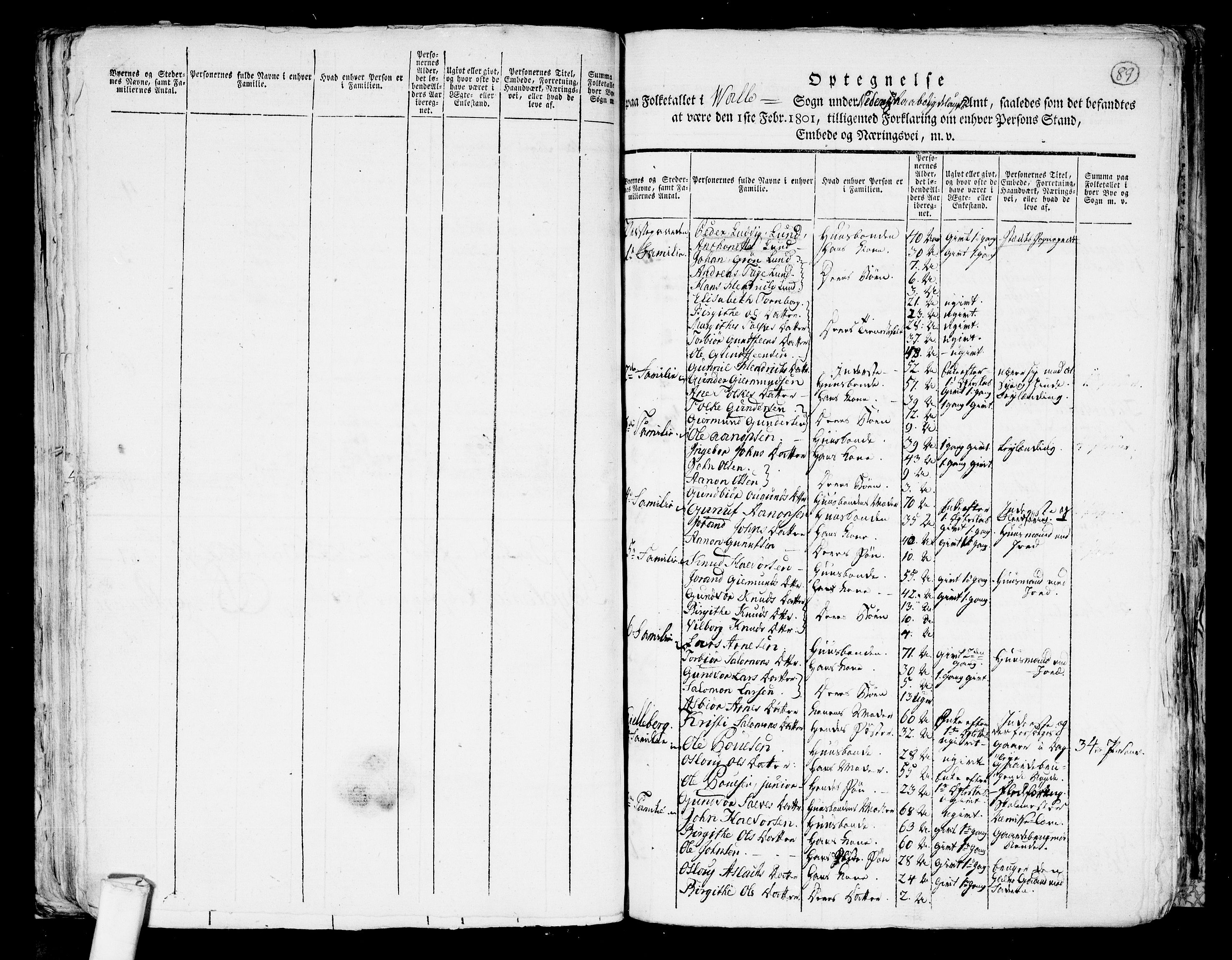 RA, 1801 census for 0940P Valle, 1801, p. 88b-89a