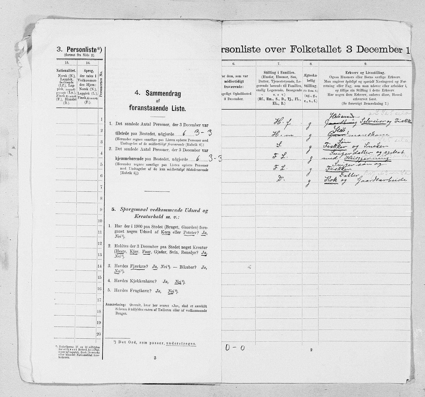 SAT, 1900 census for Vega, 1900, p. 20