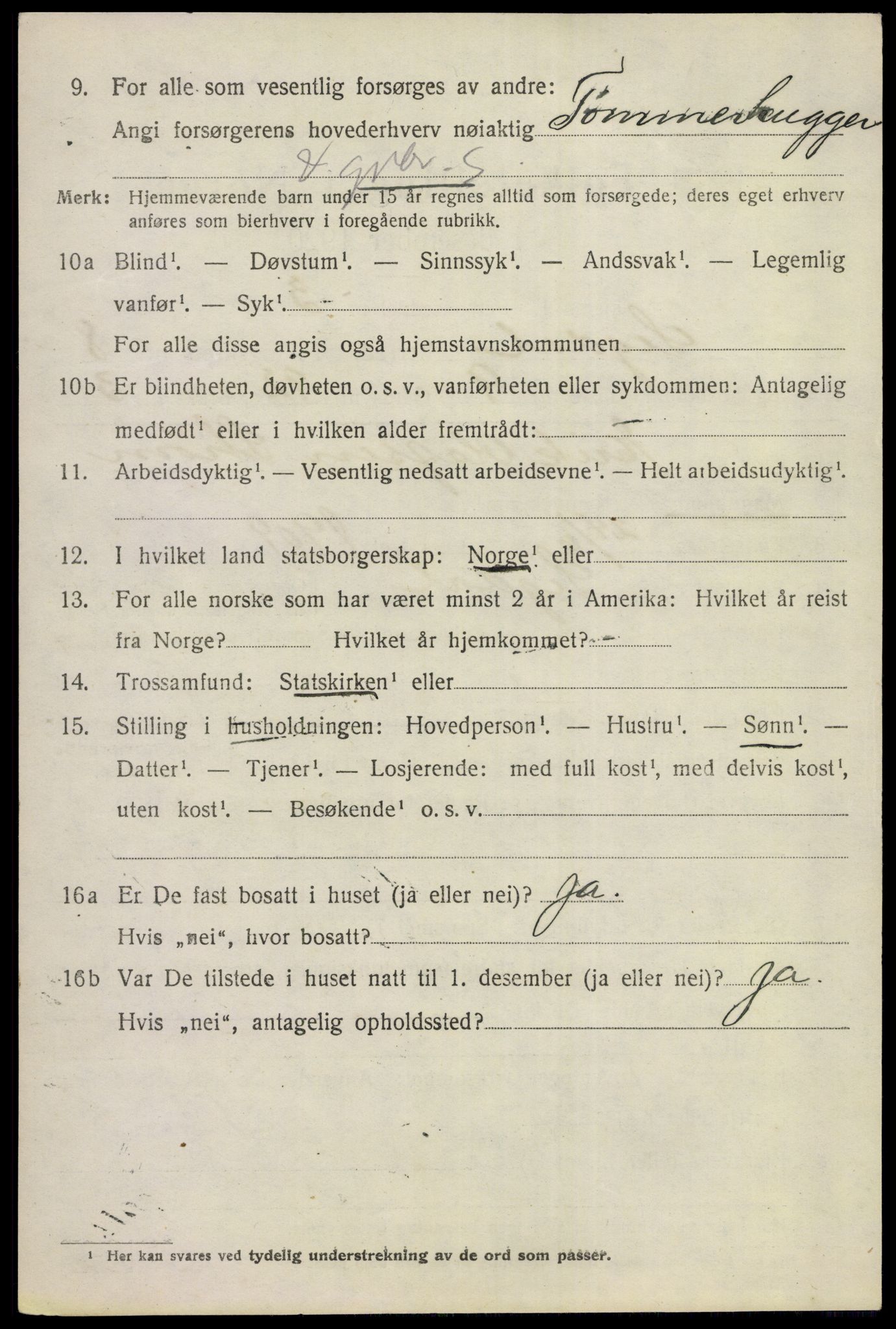 SAKO, 1920 census for Sigdal, 1920, p. 6095