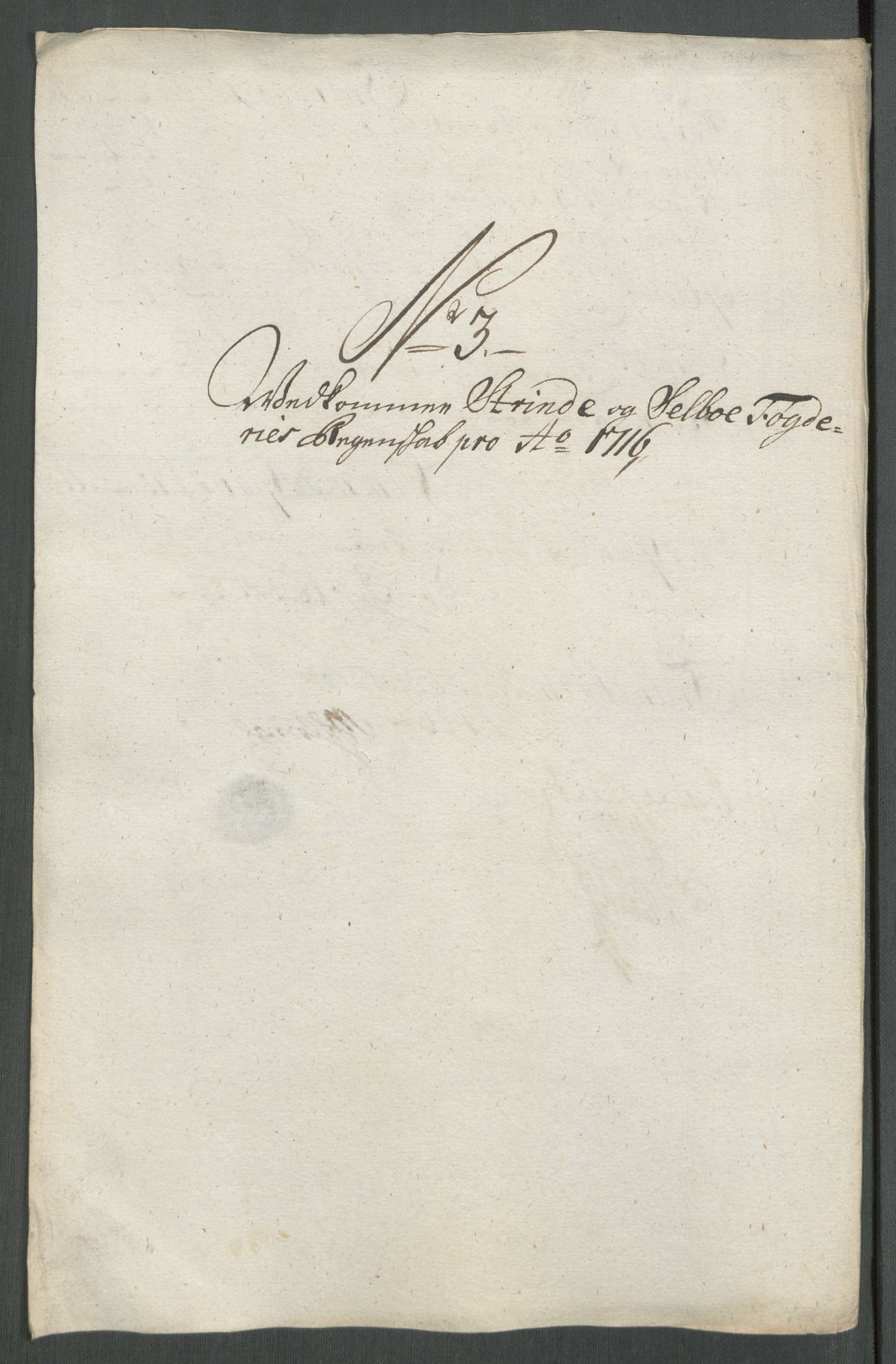 Rentekammeret inntil 1814, Reviderte regnskaper, Fogderegnskap, AV/RA-EA-4092/R61/L4115: Fogderegnskap Strinda og Selbu, 1715-1716, p. 313