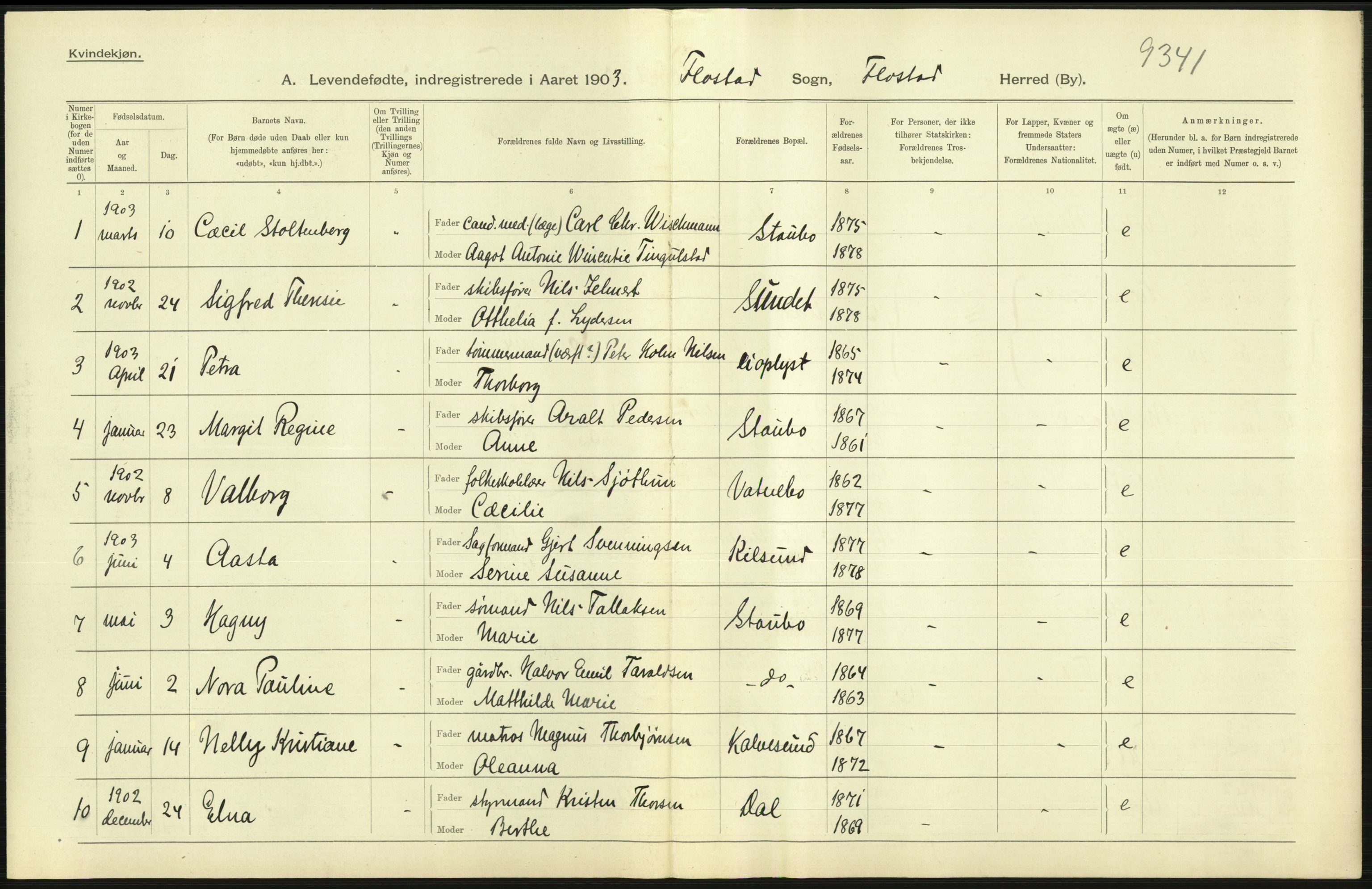 Statistisk sentralbyrå, Sosiodemografiske emner, Befolkning, AV/RA-S-2228/D/Df/Dfa/Dfaa/L0010: Nedenes amt: Fødte, gifte, døde, 1903, p. 5