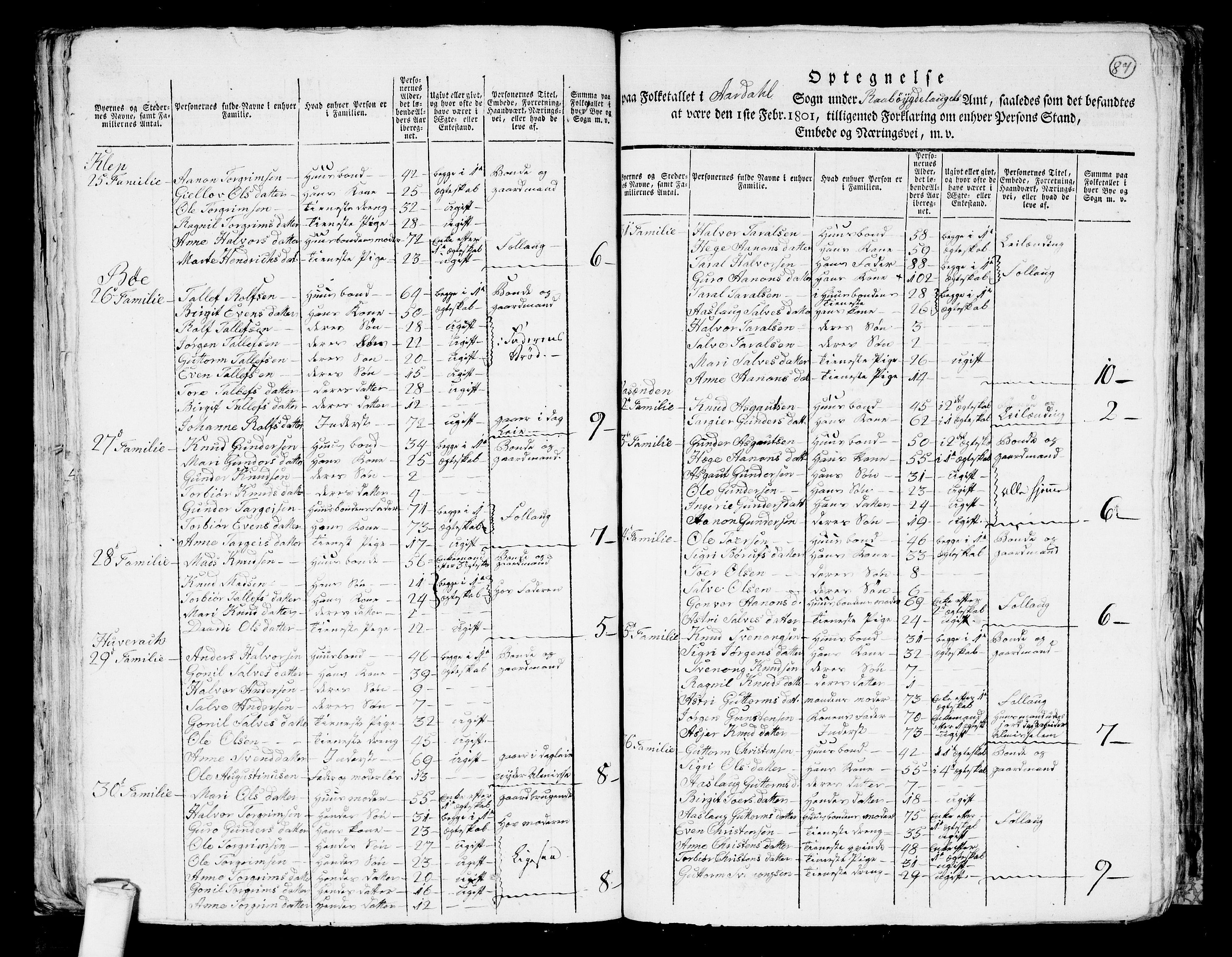 RA, 1801 census for 0938P Bygland, 1801, p. 86b-87a