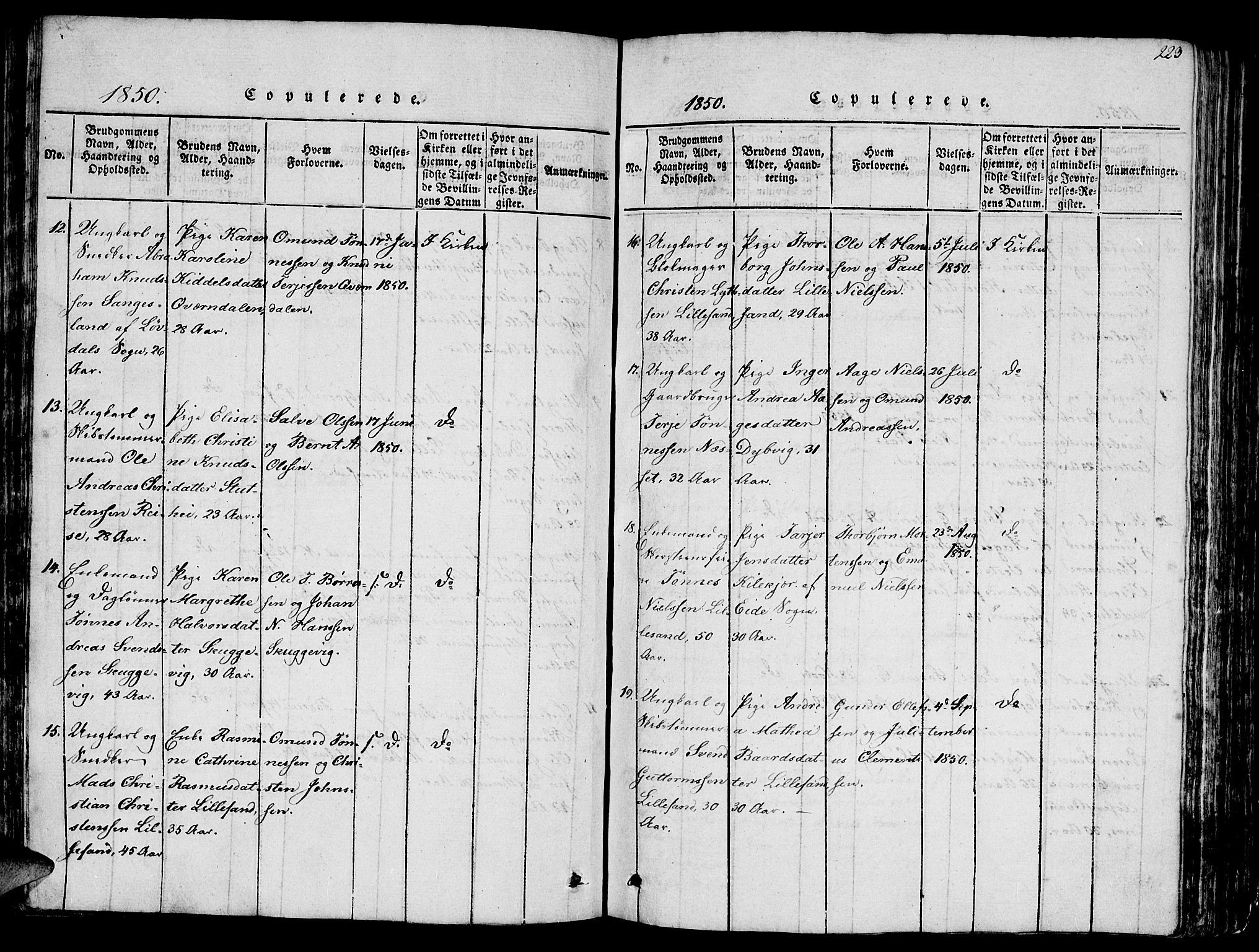 Vestre Moland sokneprestkontor, SAK/1111-0046/F/Fb/Fbb/L0001: Parish register (copy) no. B 1, 1816-1851, p. 223