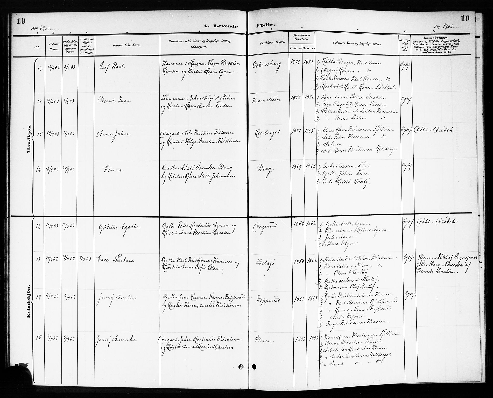Drøbak prestekontor Kirkebøker, AV/SAO-A-10142a/G/Gb/L0001: Parish register (copy) no. II 1, 1901-1919, p. 19
