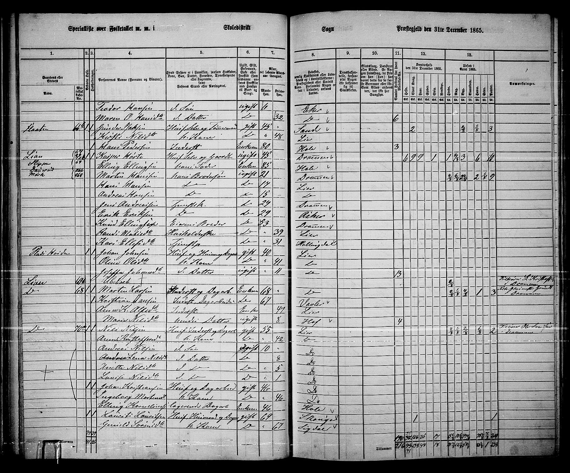 RA, 1865 census for Lier, 1865, p. 47